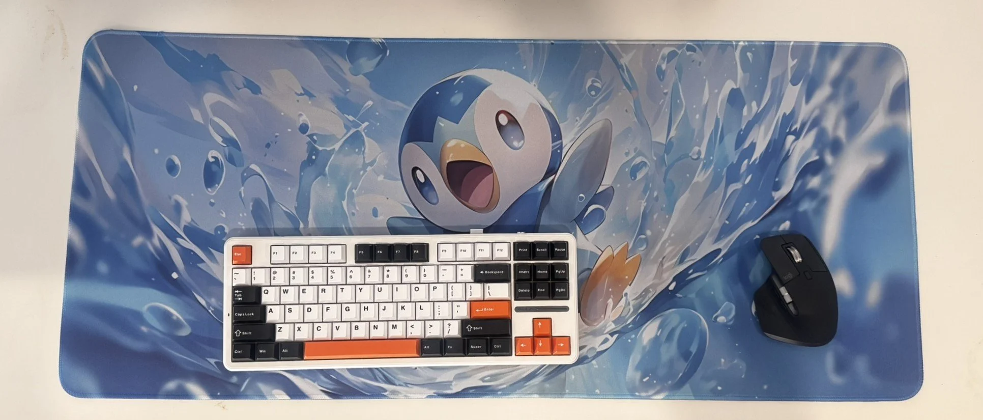Piplup 2.JPEG