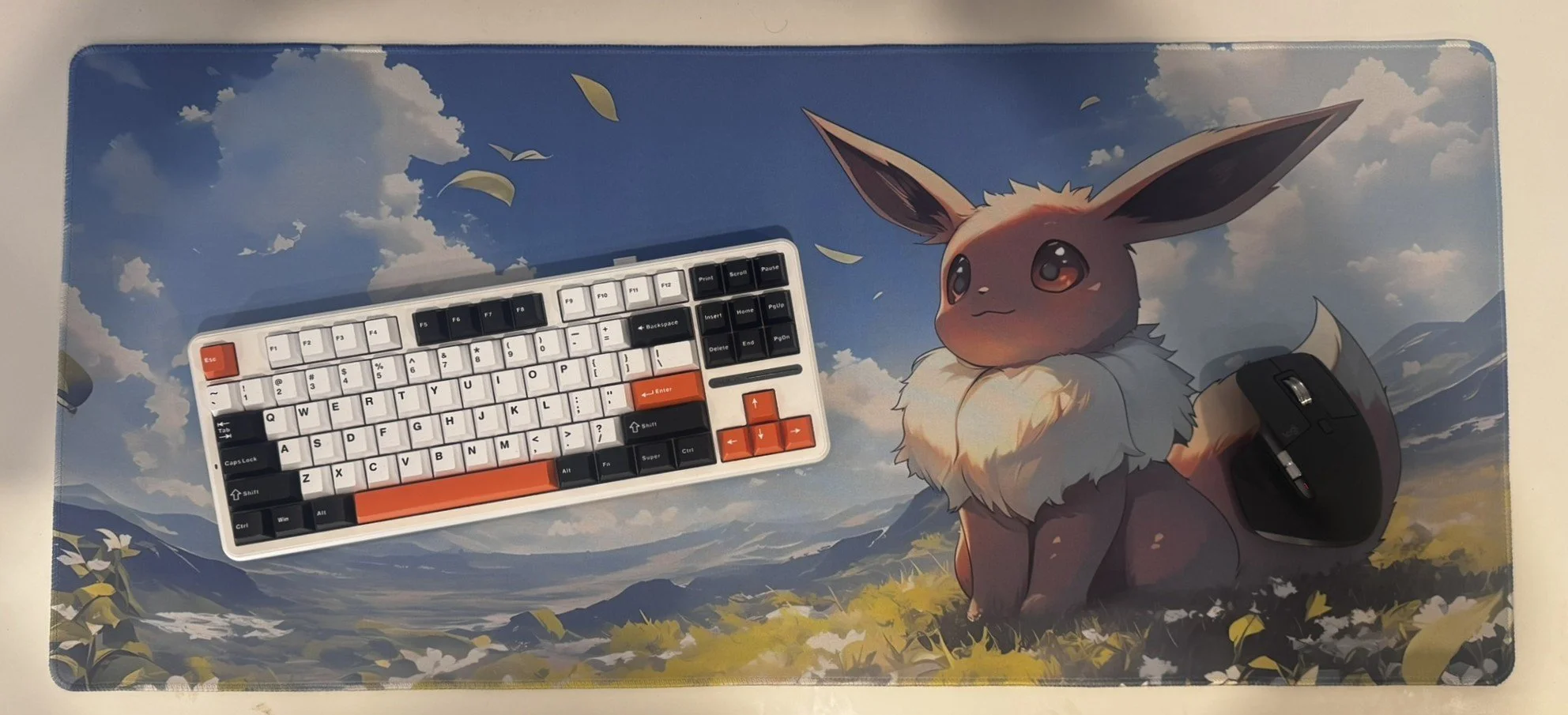 Eevee Field 2.JPEG