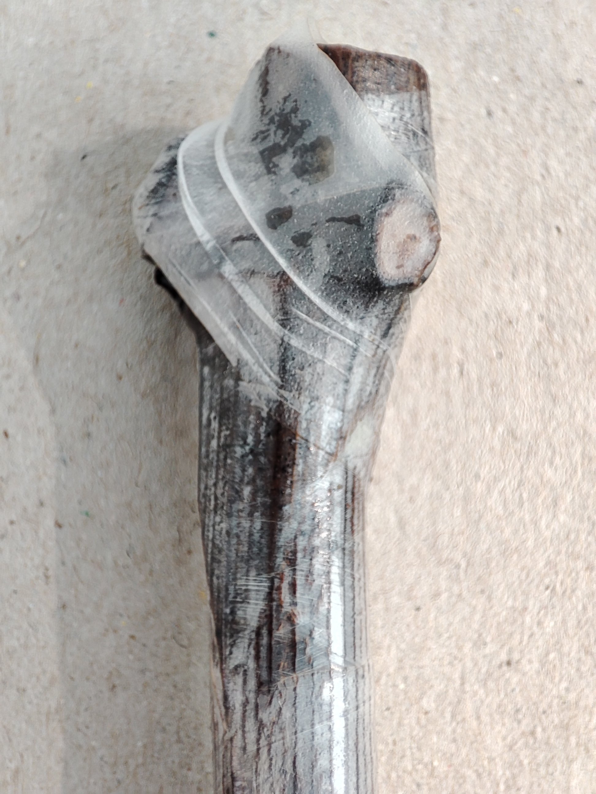 Buddy Tape used for whip and tongue grapevine grafting in a commercial Italian grapevine nursery.