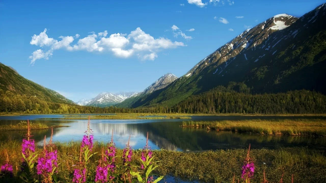 A peaceful landscape of a mountain valley with a calm lake, snow-capped mountains in the background, green trees, and purple flowers in the foreground under a blue sky with a few clouds.