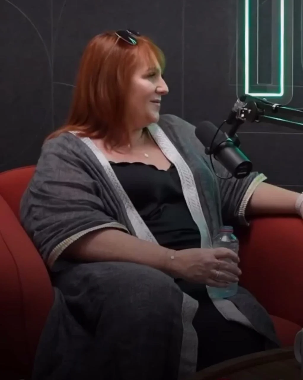 Anne Speaking on a podcast