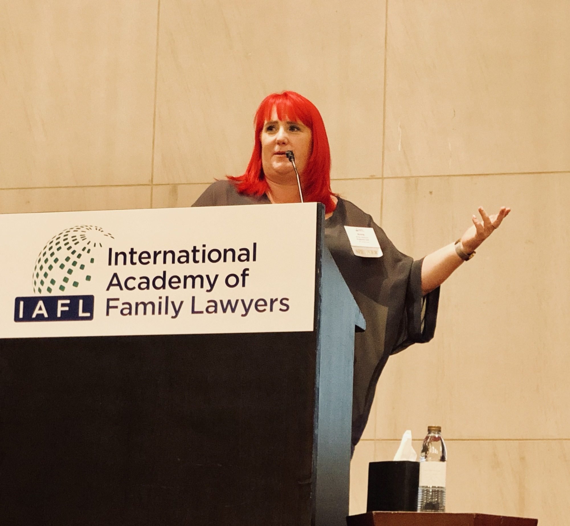 Anne presenting at International Academy of Family Lawyers