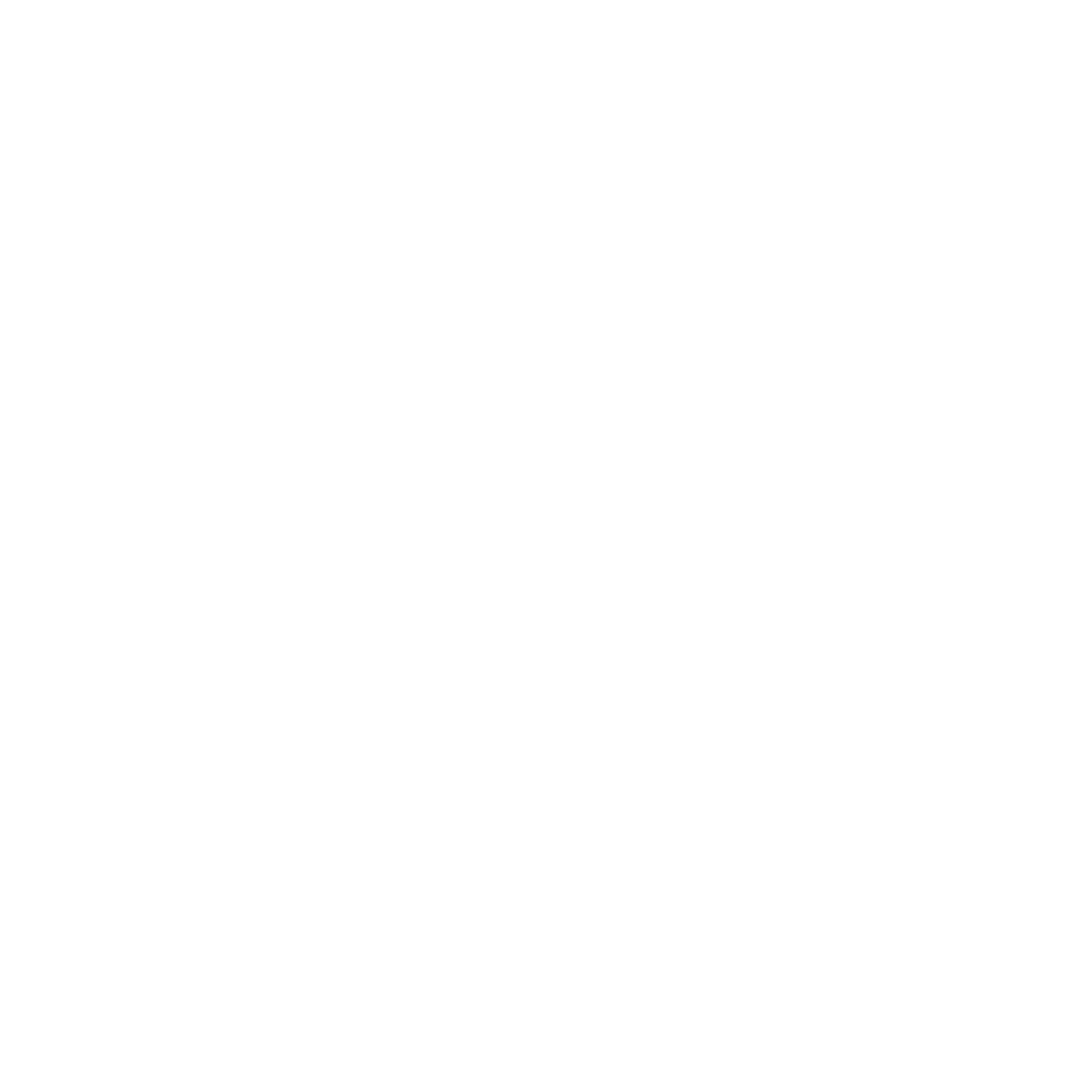 One Life Coaching Translucent Logo