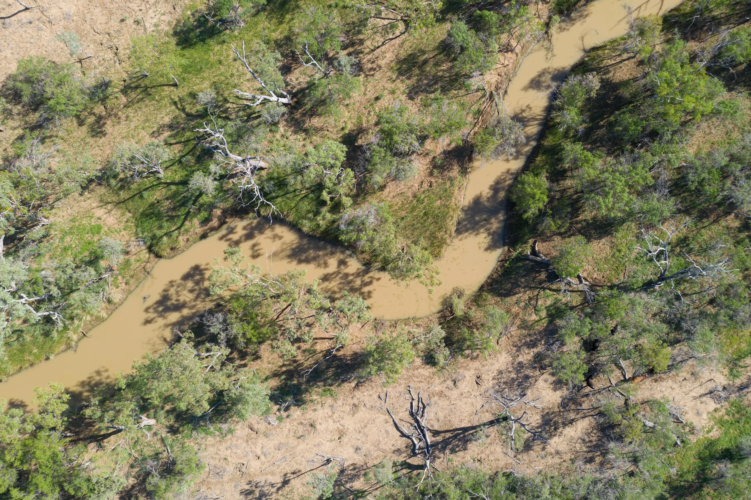 DJI_0063.jpg