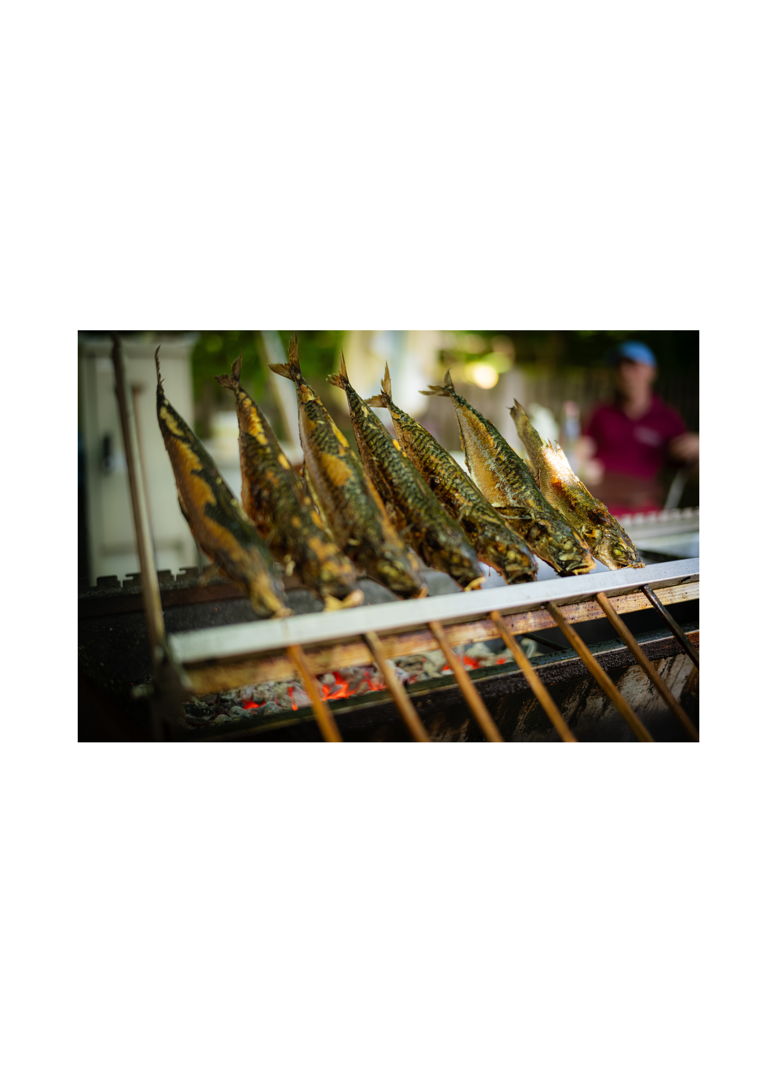 STECKERL FISH, MUNICH 2025