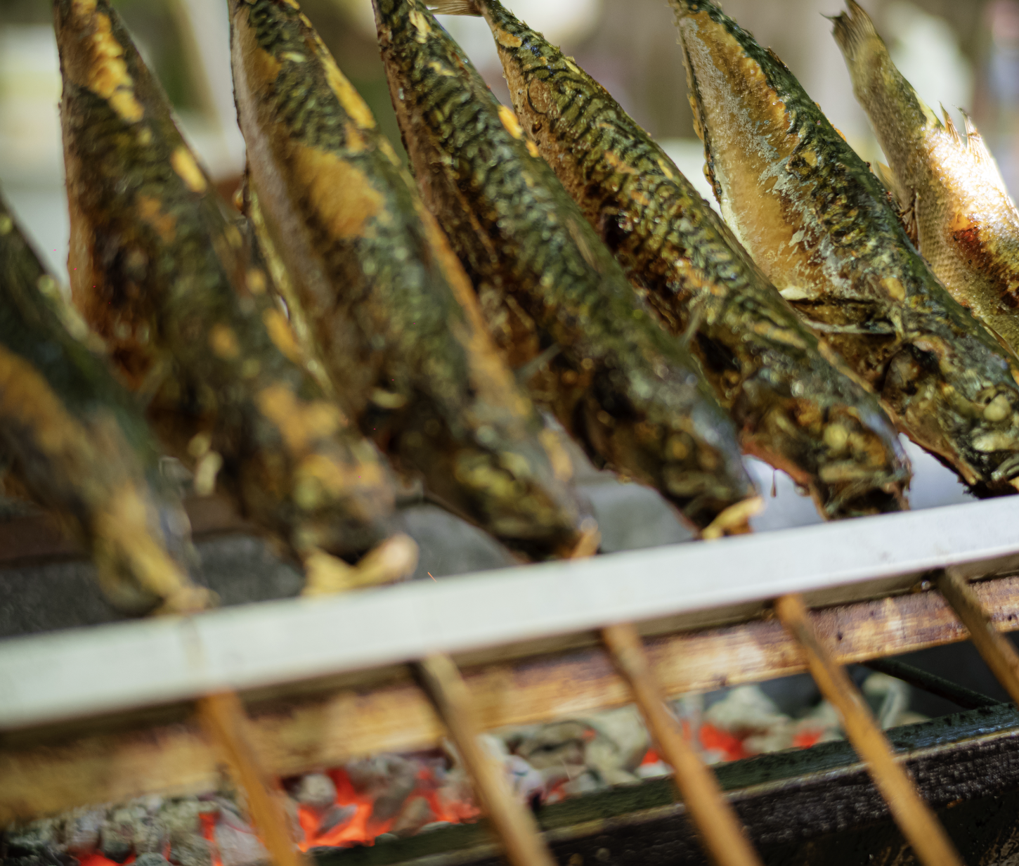 Screenshot 2026-01-01 at 22.38.16.png