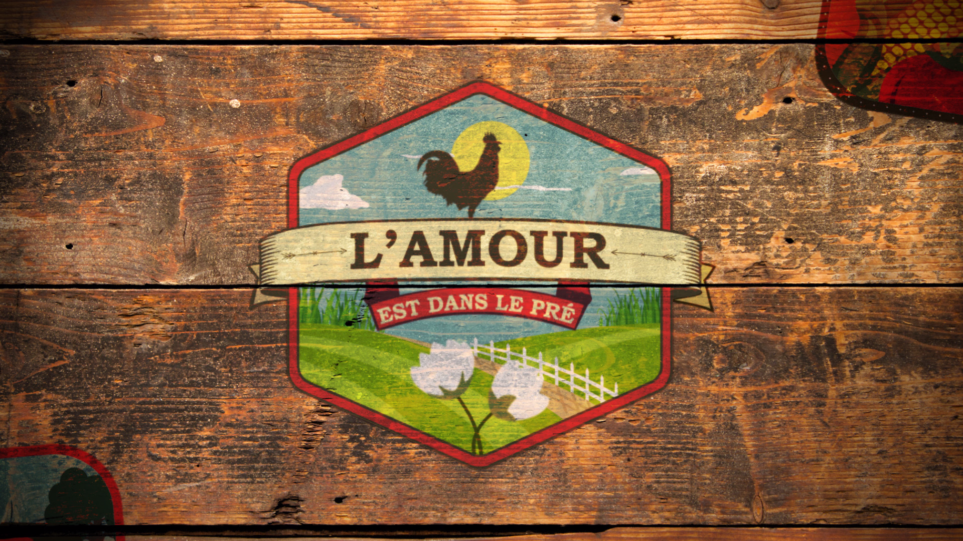 L'AMOUR EST DANS LE PRE (RTL-TVI) - FREMANTLE MEDIA