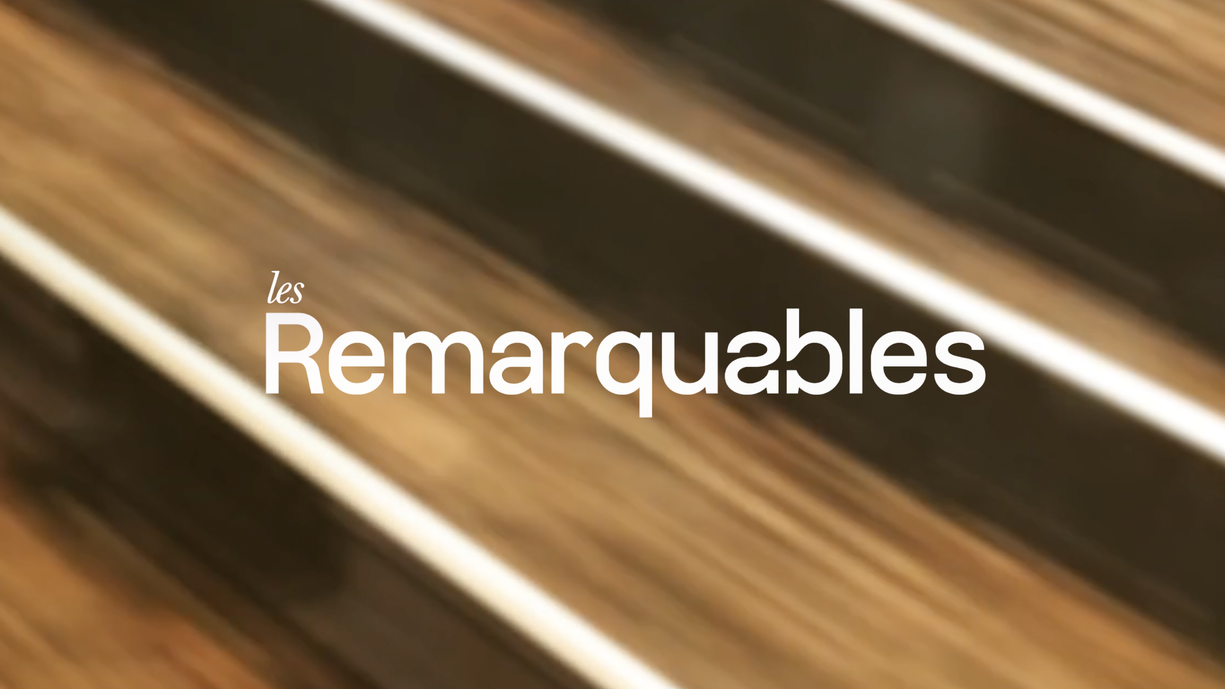 LES REMARQUABLES (RTBF) - SWITCH-ON