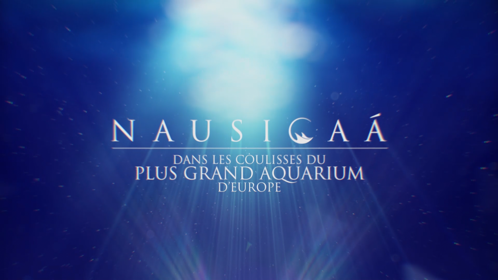 NAUSICAA (RTL-TVI) - SWITCH ON