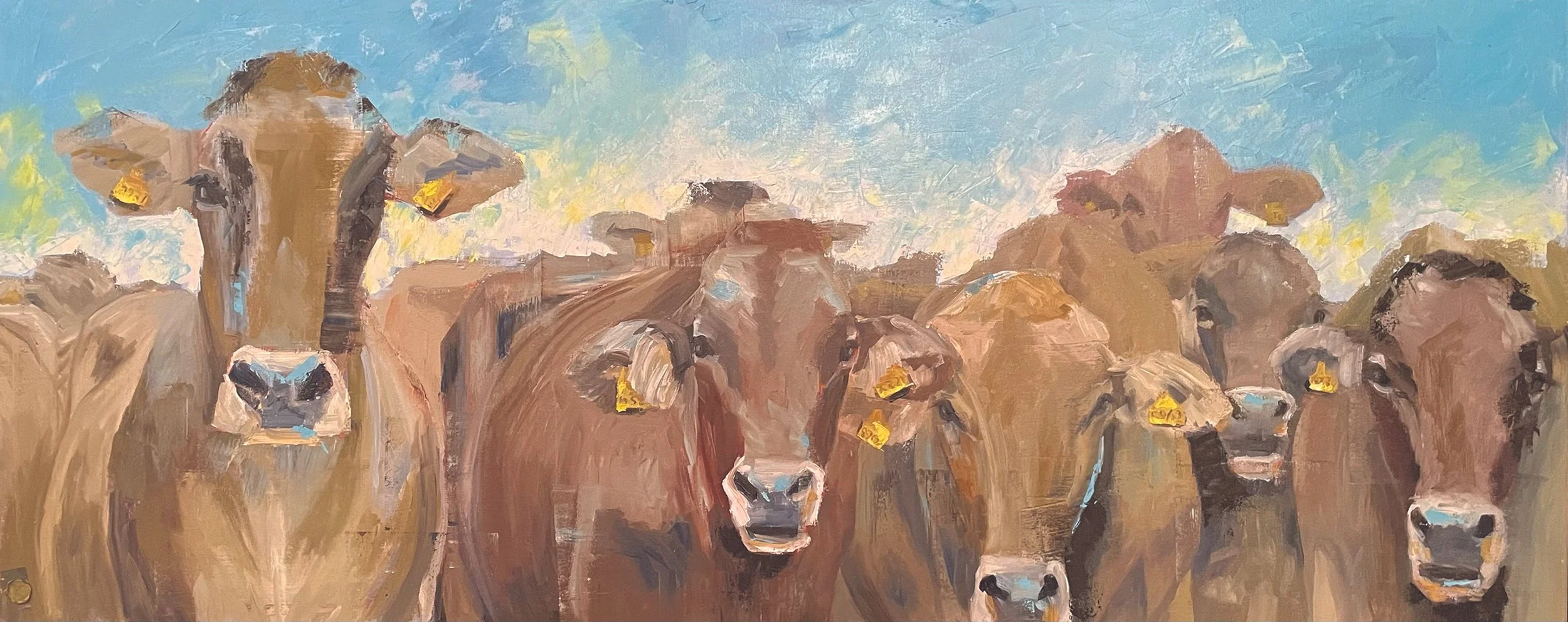 Cows Medium Print