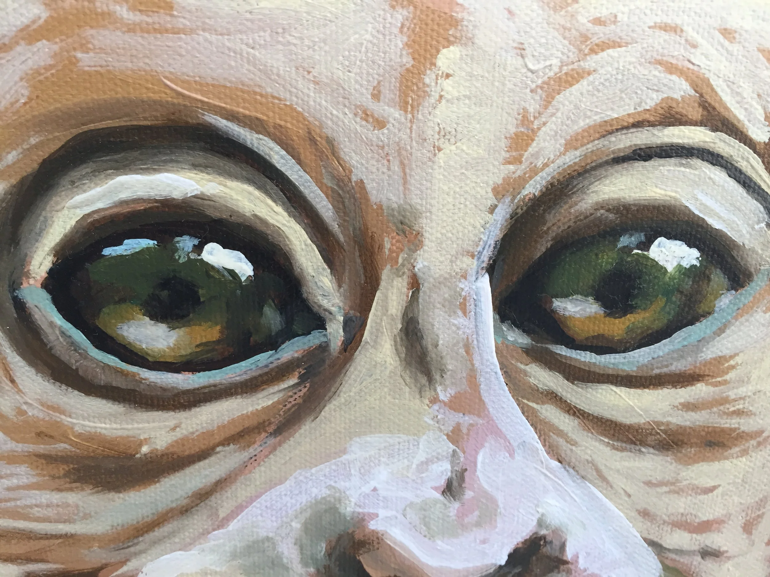 IMG_4249.JPG (Copy) (Copy)