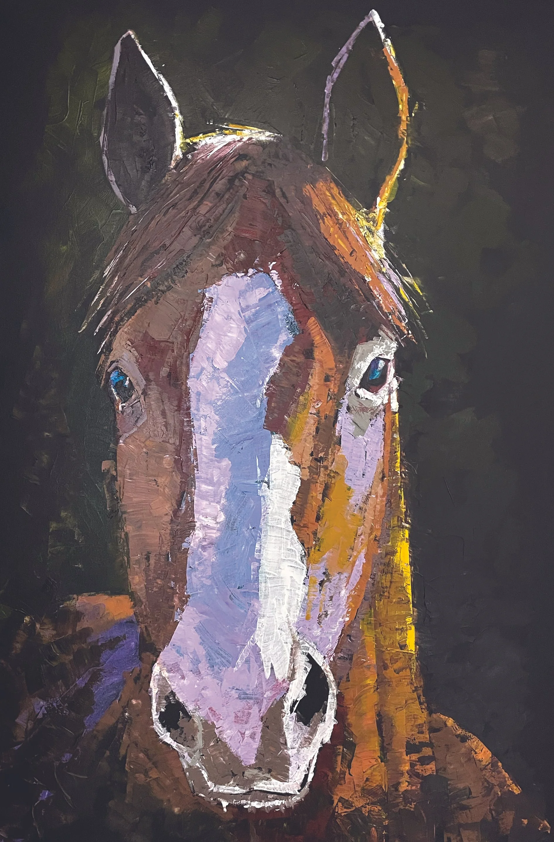 cat copy horse power.jpg (Copy) (Copy)