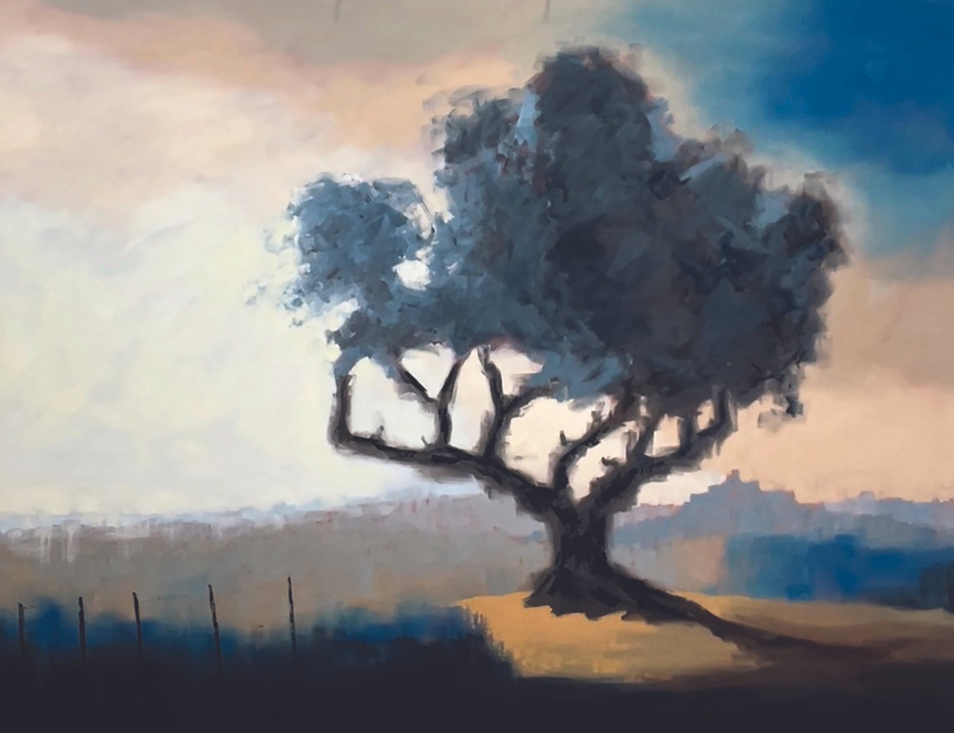 cat copy countless dawns.jpg