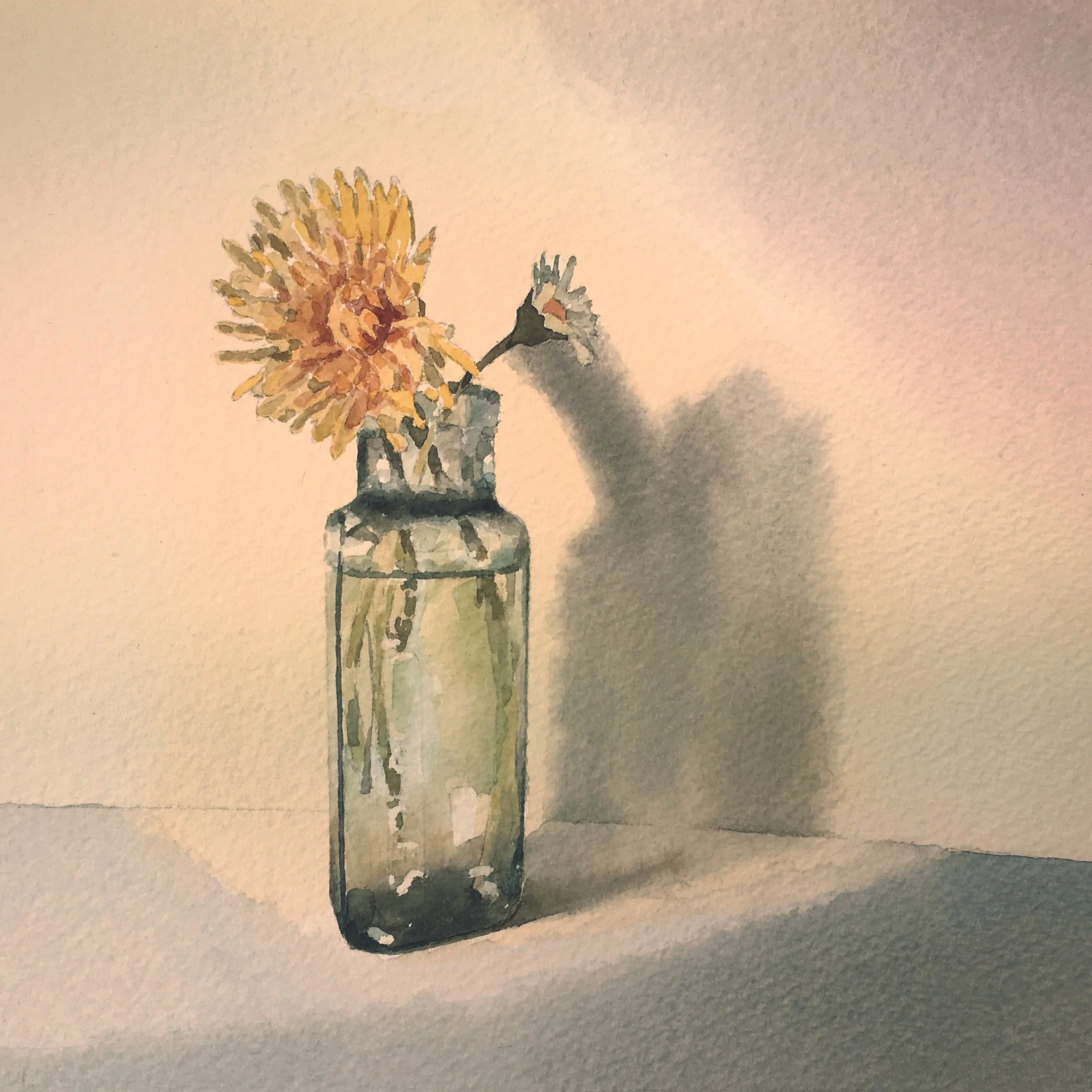 Dandelion: Still life
