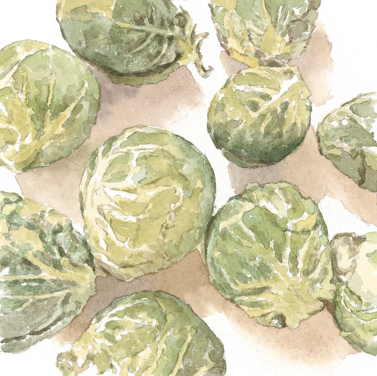 Christmas card image: Brussels sprouts