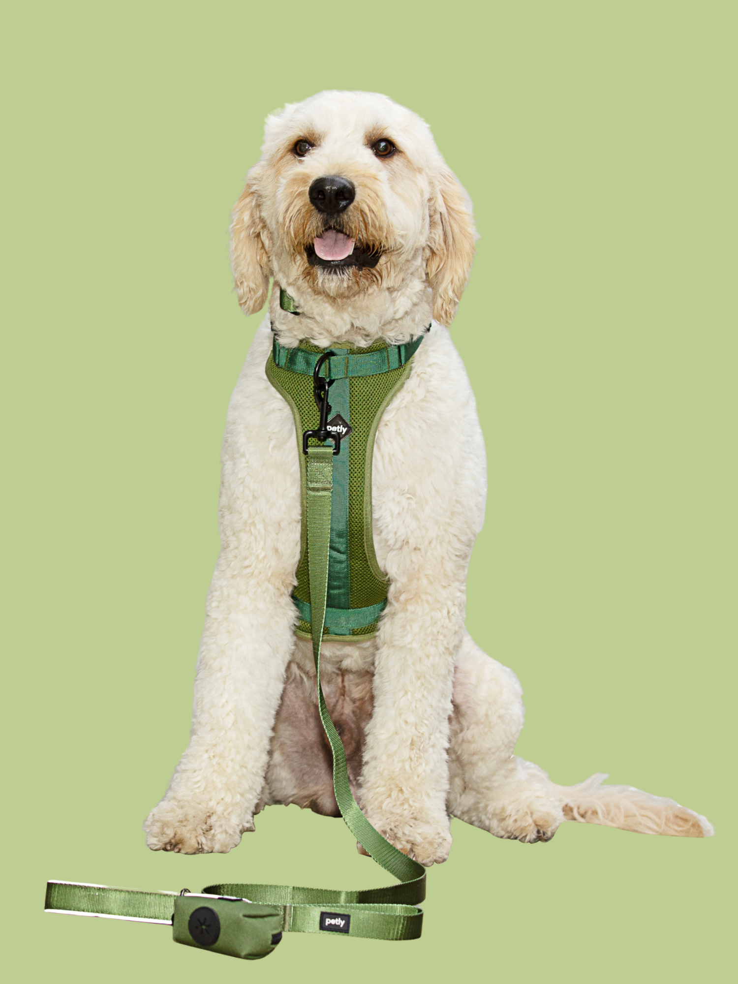 Olive Dog.png