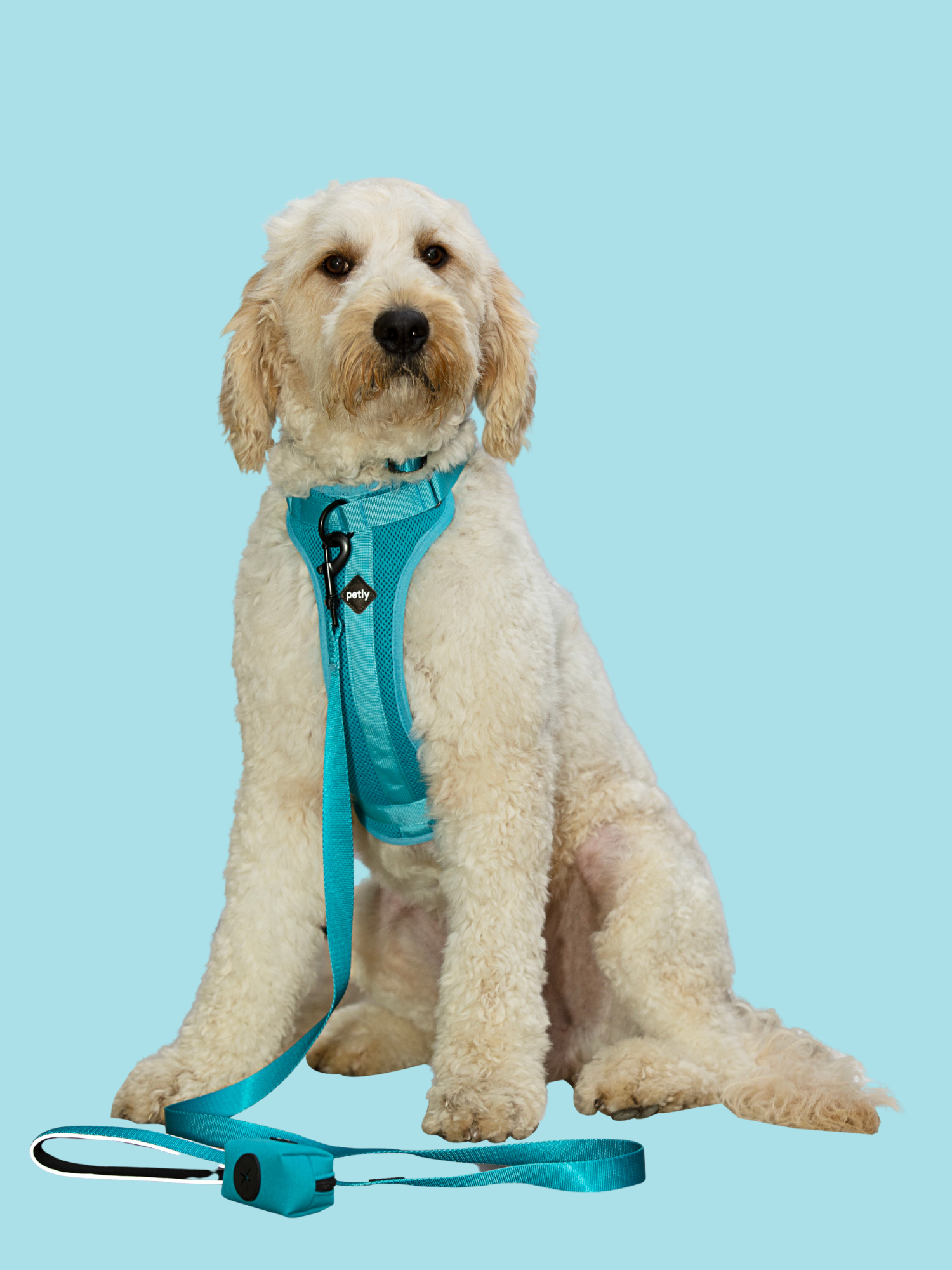 Petly Ultimate Dog Walking Set