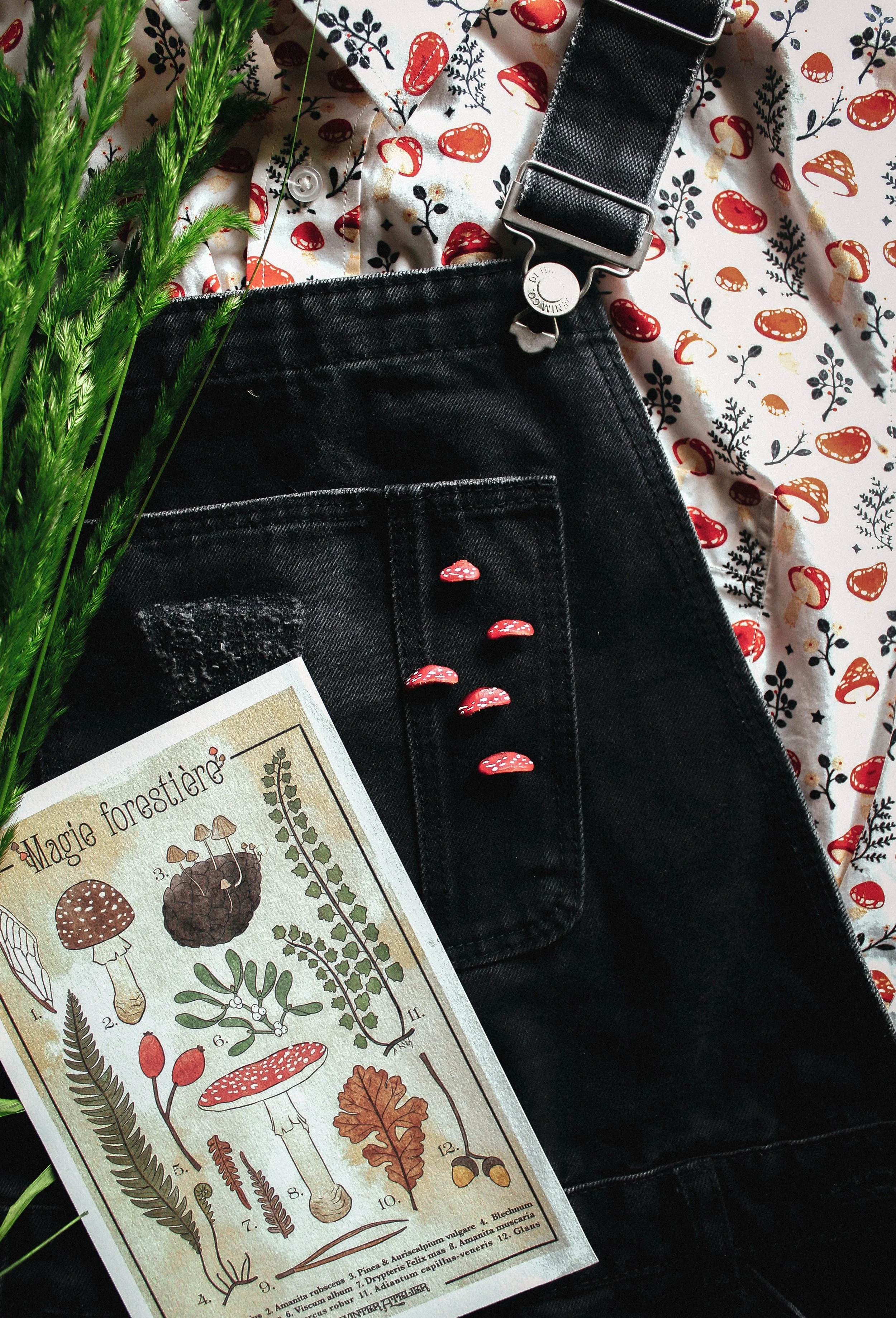 Particolare di una persona con pantaloni neri e camicia con motivo di funghi, accompagnata da un mazzo di erba verde e un cartello illustrativo sui funghi selvatici.