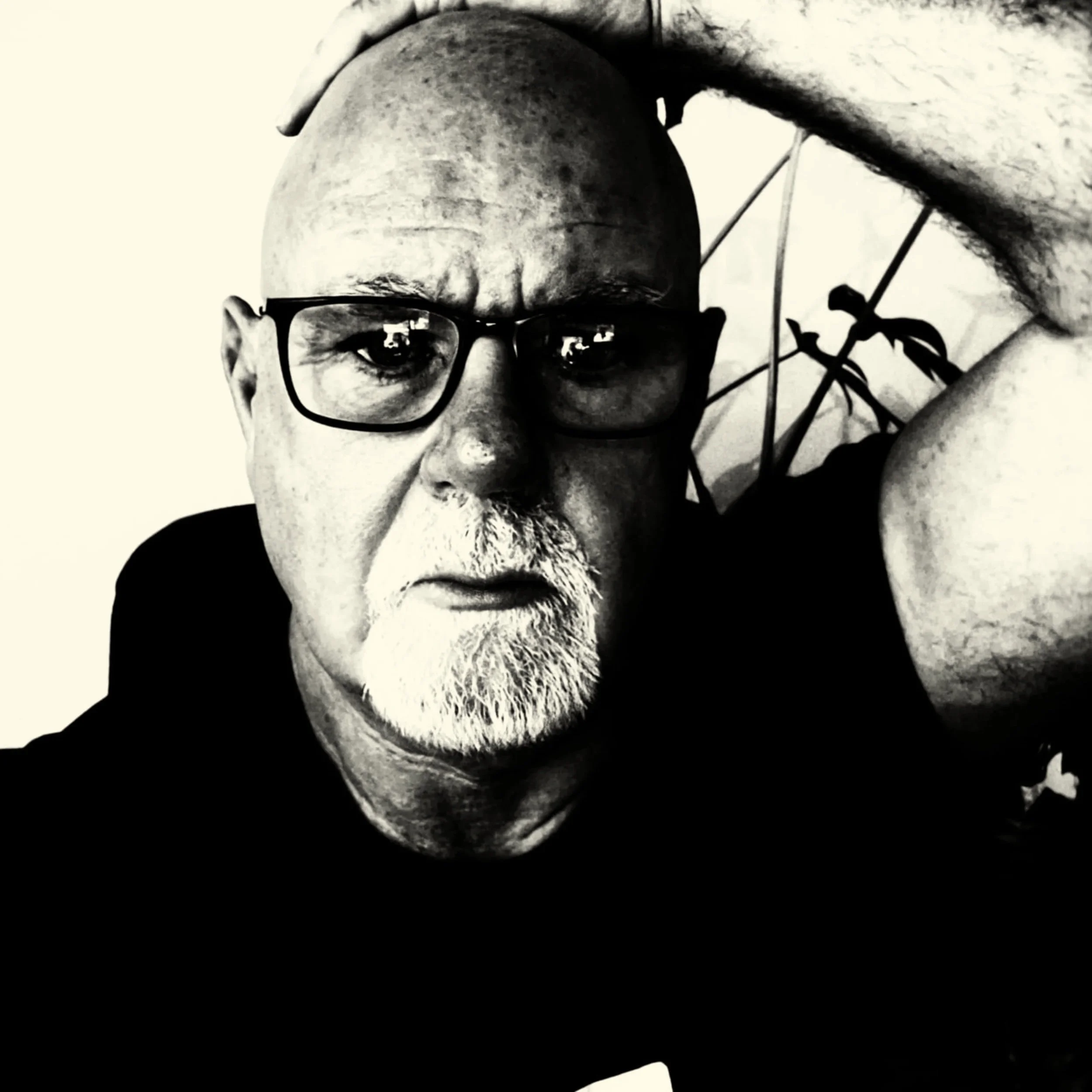 Mehal self portrait cover of Oranges and Seals