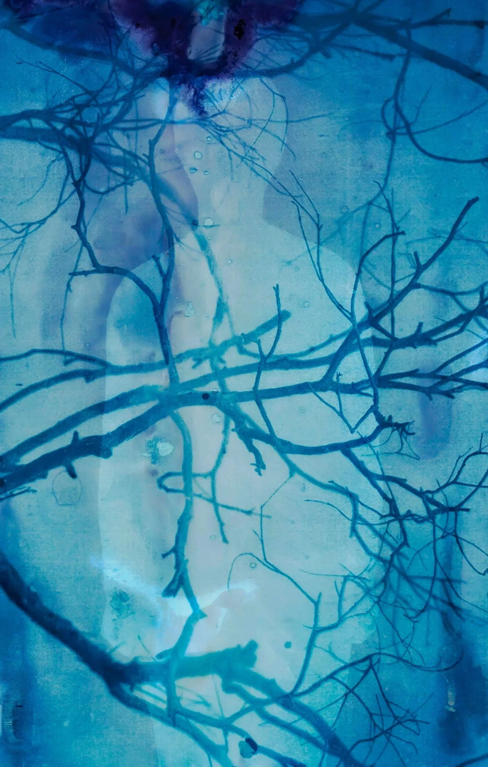 Tree branches seen through a frosted or foggy window with a blue tint. A cyanolumen print.