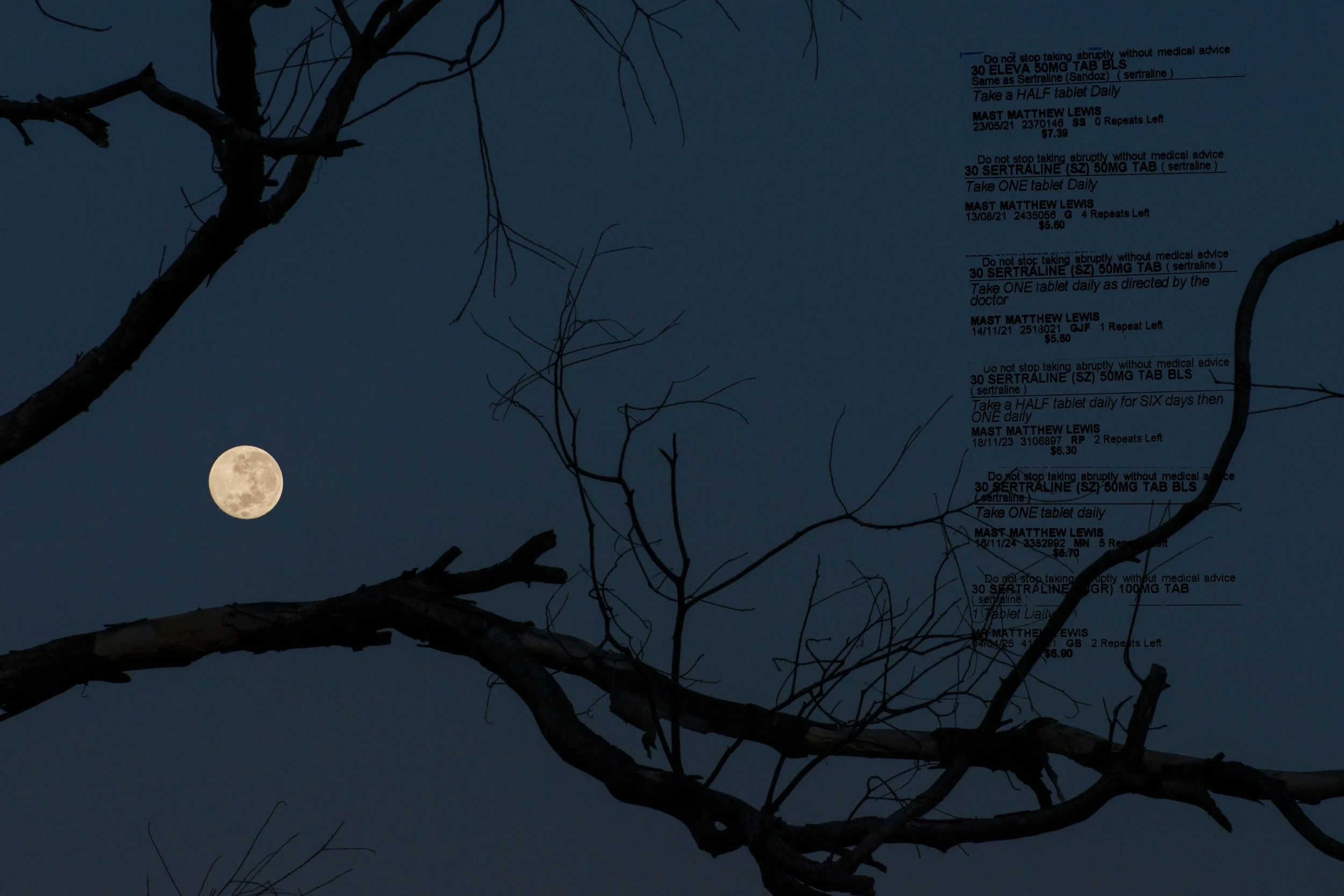 blue background, full moon, shadowy tree branches, medical scripts for sertraline