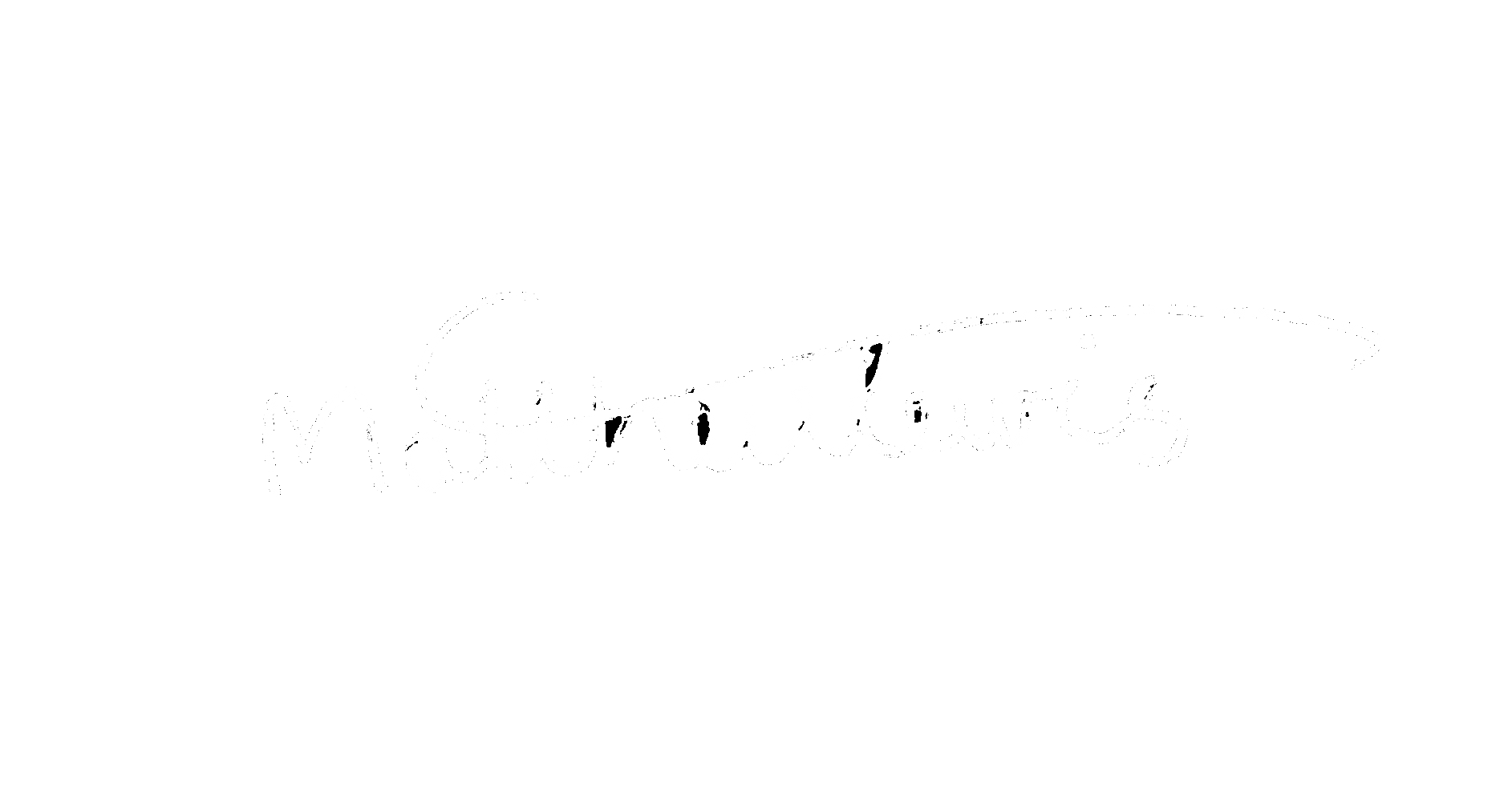 Signature of Matthew Lewis in white script on a black background.