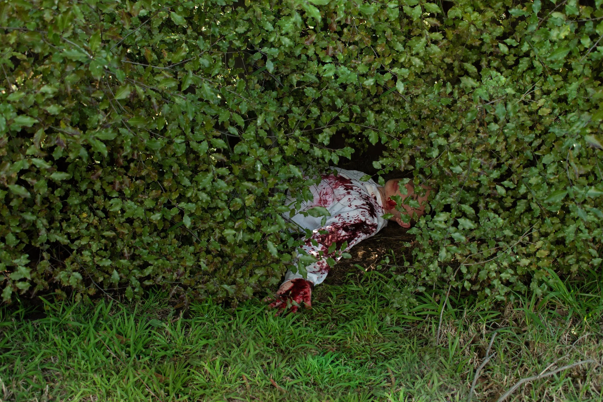 A severely injured person with blood on white clothing, lying on the ground and partially concealed by green bushes in an outdoor setting.