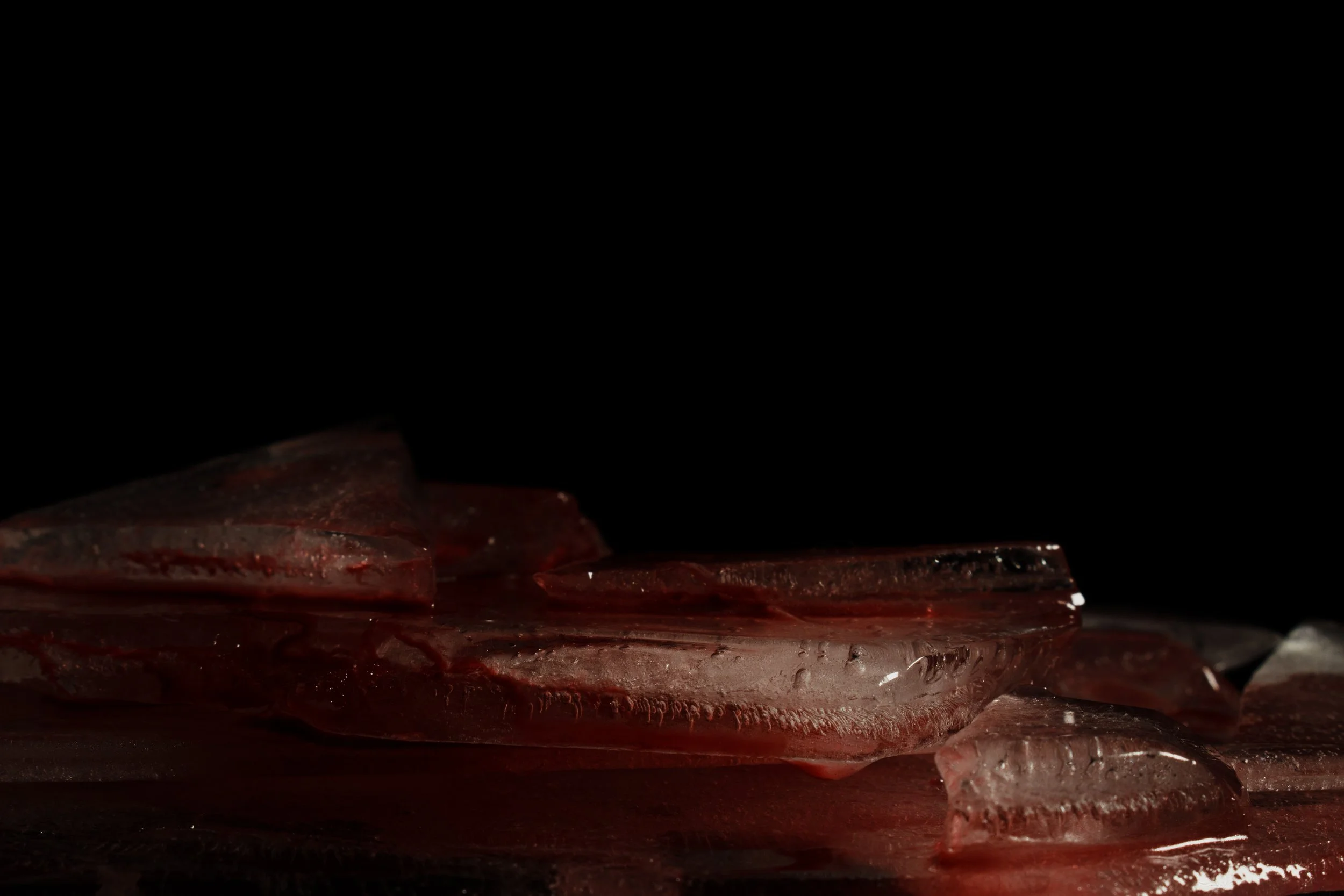 Frontal Cortex // Severed Connections