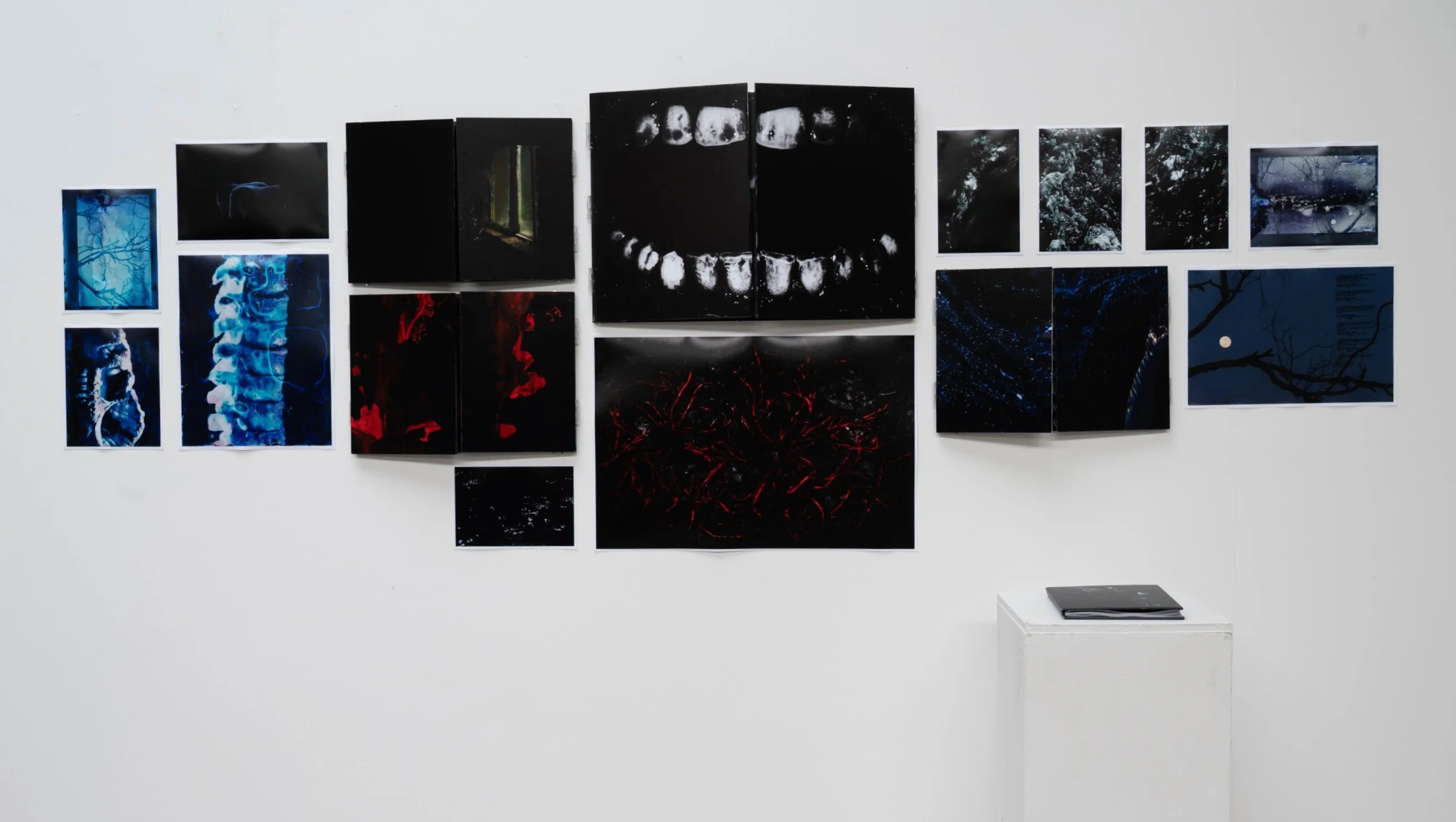 An art installation featuring multiple mounted photographs and prints on a white gallery wall, arranged in a balanced composition. The images include abstract, nature, and夜景 themes, with a focus on dark and moody color schemes. A small white pedestal with a black booklet or folder is positioned in front of the display.