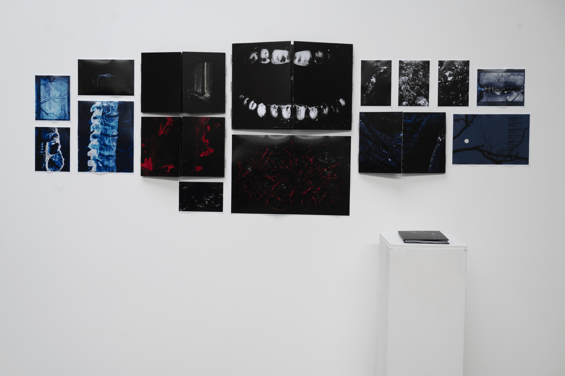 Art gallery wall displaying abstract and surreal images in black, white, and blue, with a small pedestal holding a black book.