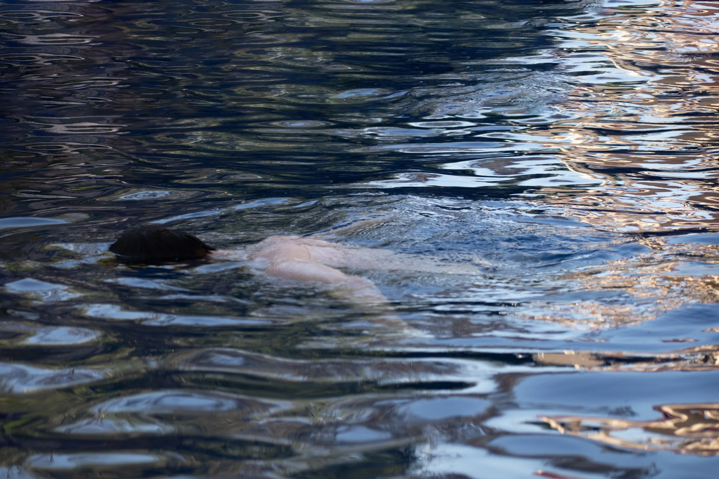 Person swimming in a body of water with ripples and reflections.