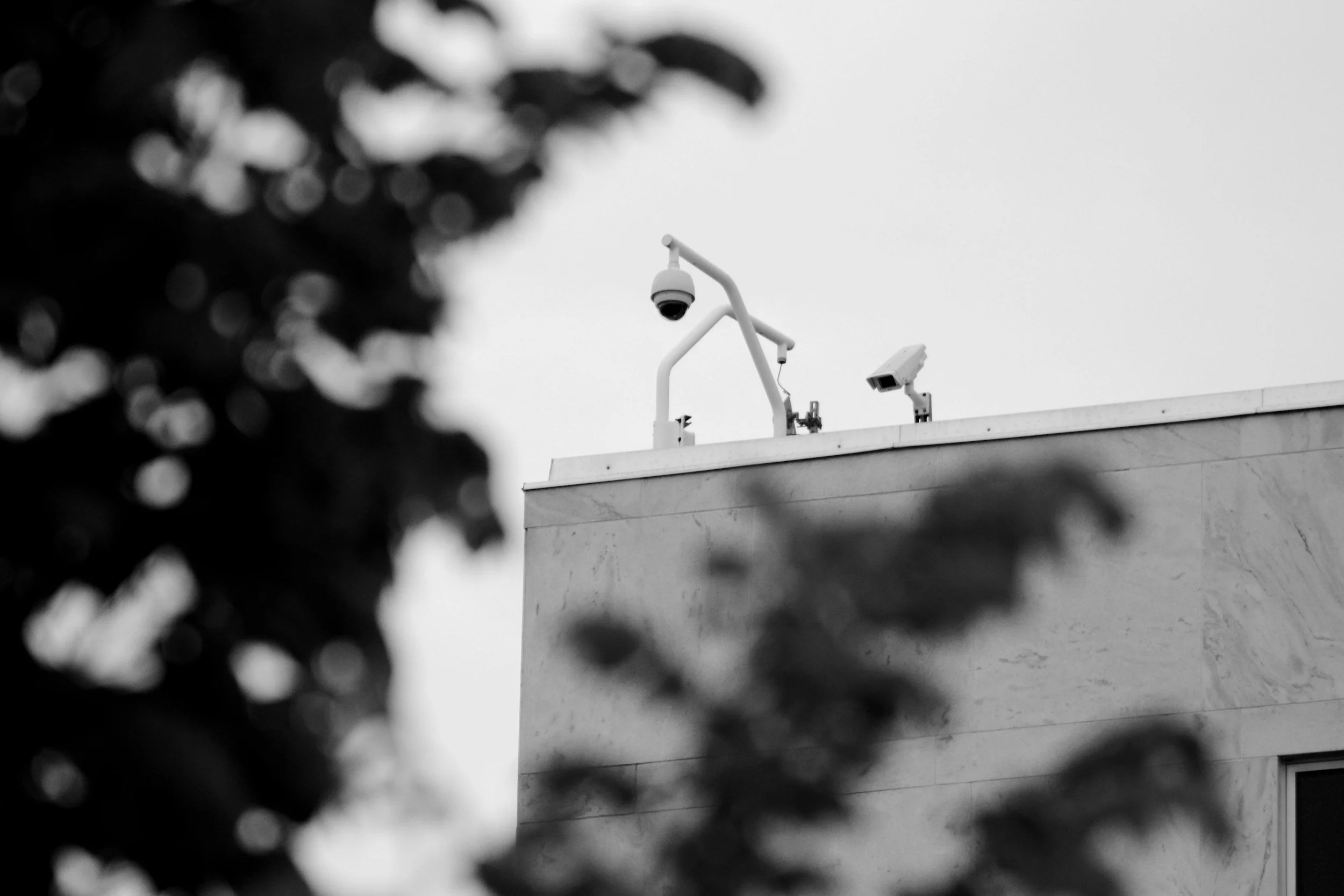 Security cameras mounted on the rooftop of a building, with leaves blurred in the foreground in black and white.