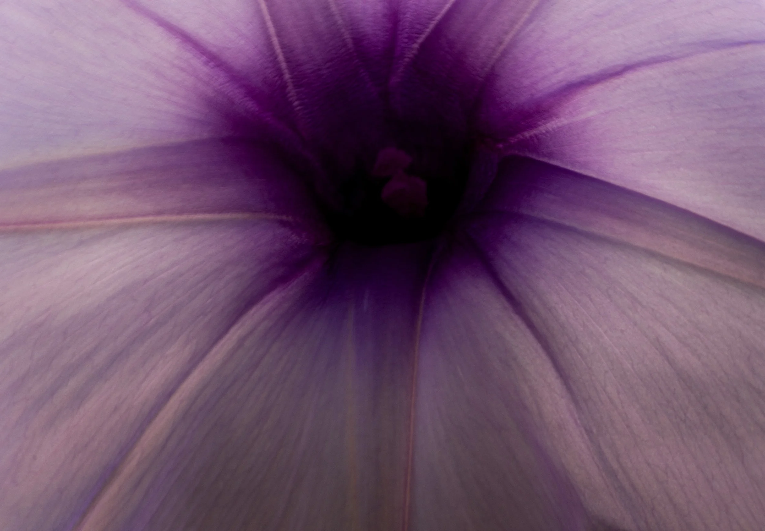 DSCF0330-EXPORT - Redes sociales-3.jpg