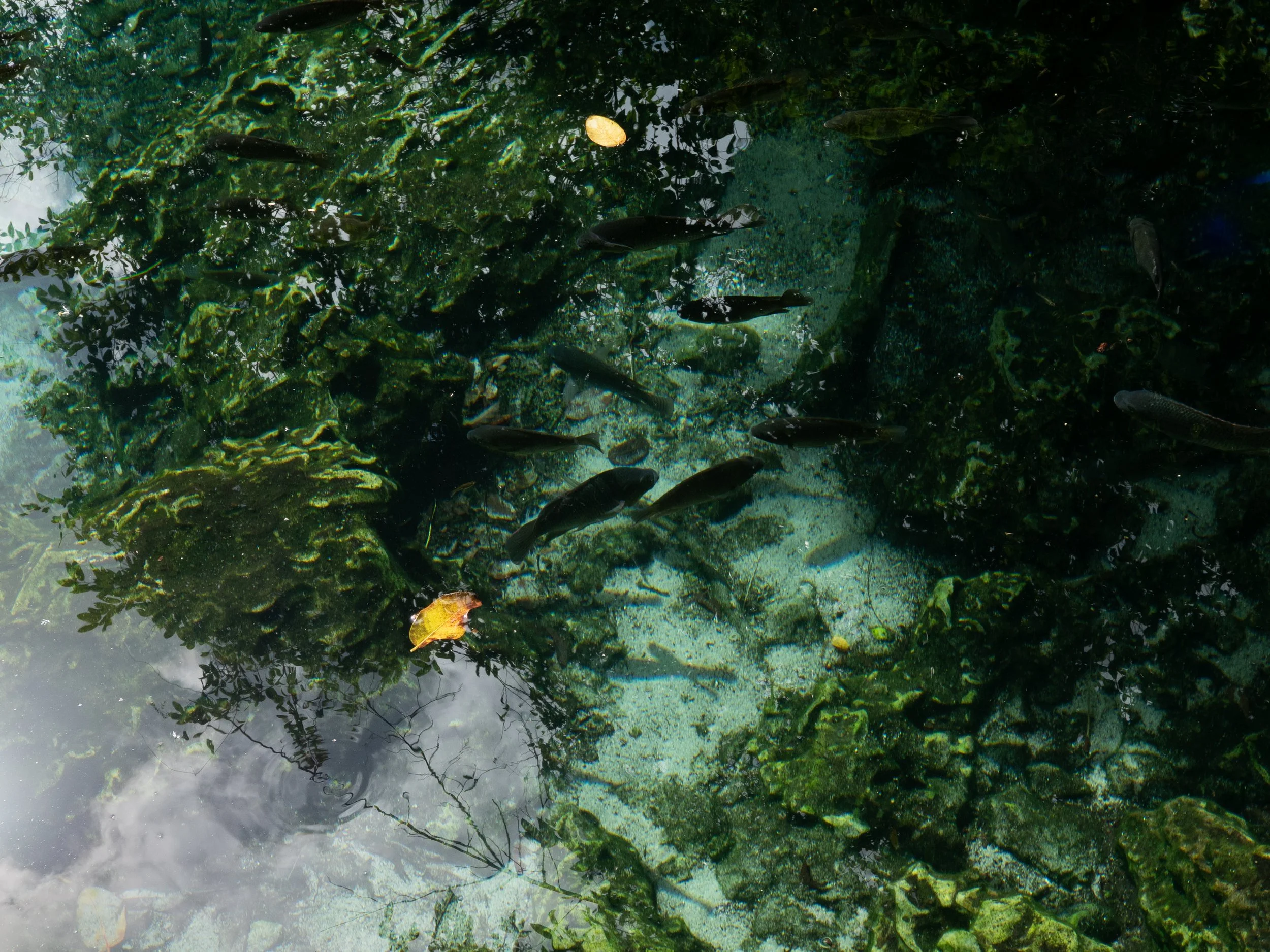 Silencio sumergido.jpg