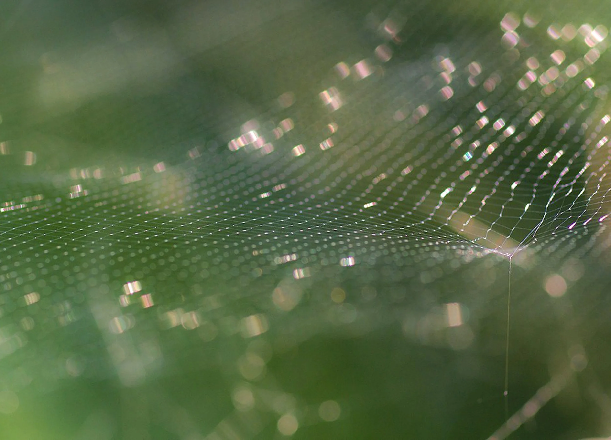 Notas de silencio.jpg