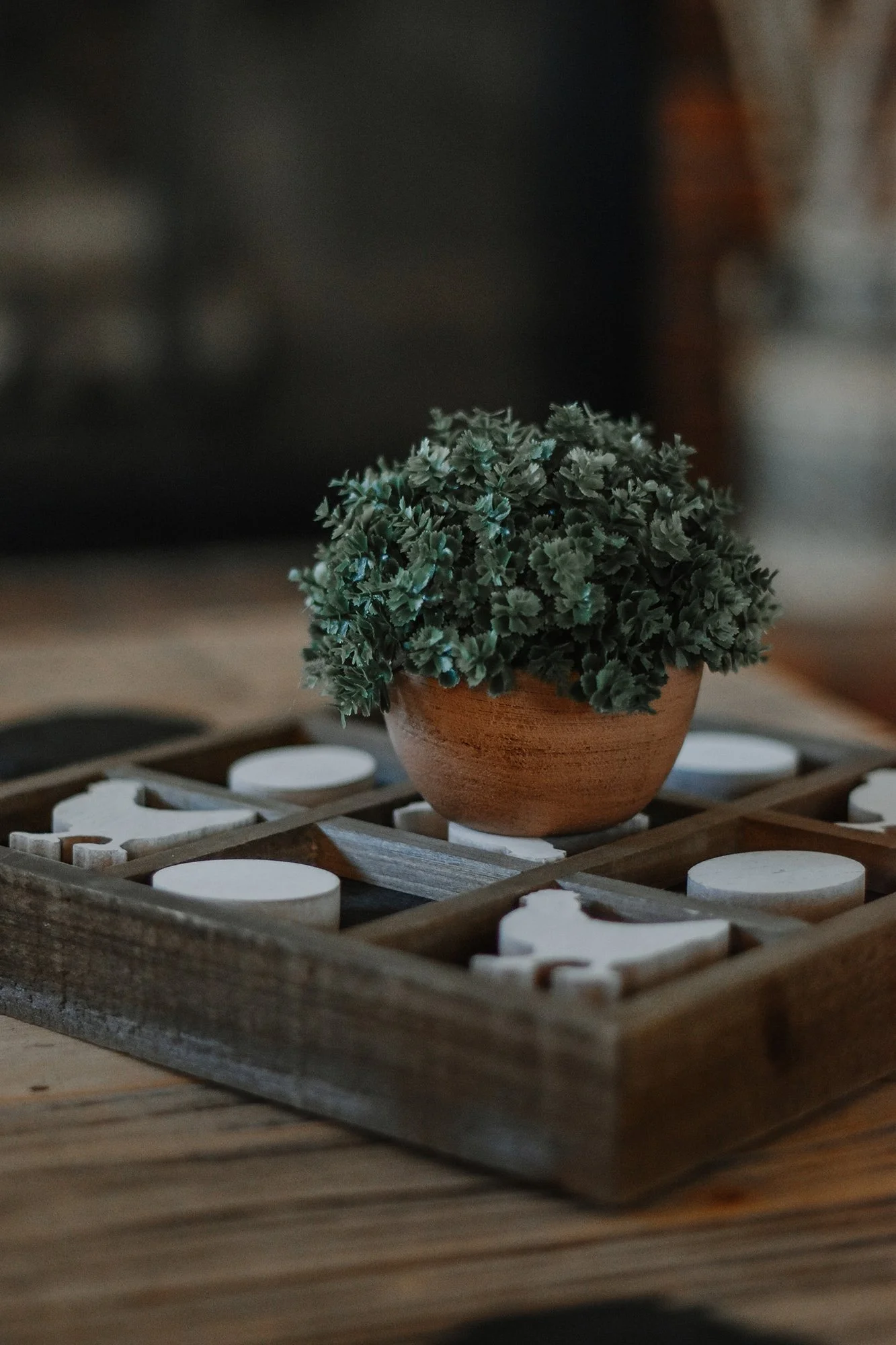 Farmhouse Decor Small Plant and farmhouse tik tak toe game