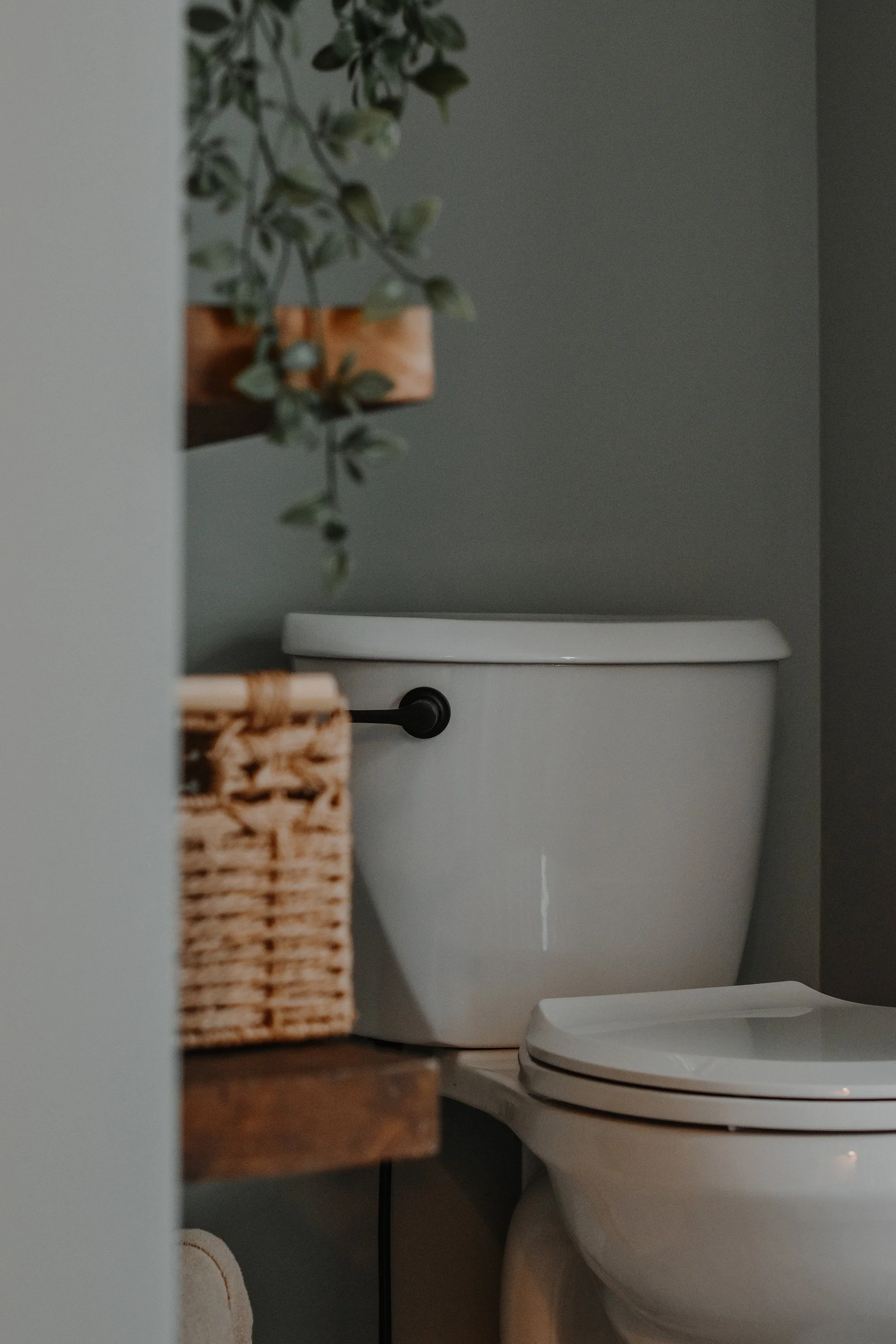 rustic modern farmhouse bathroom toilet, hanging plant, basket storage on floating shelves