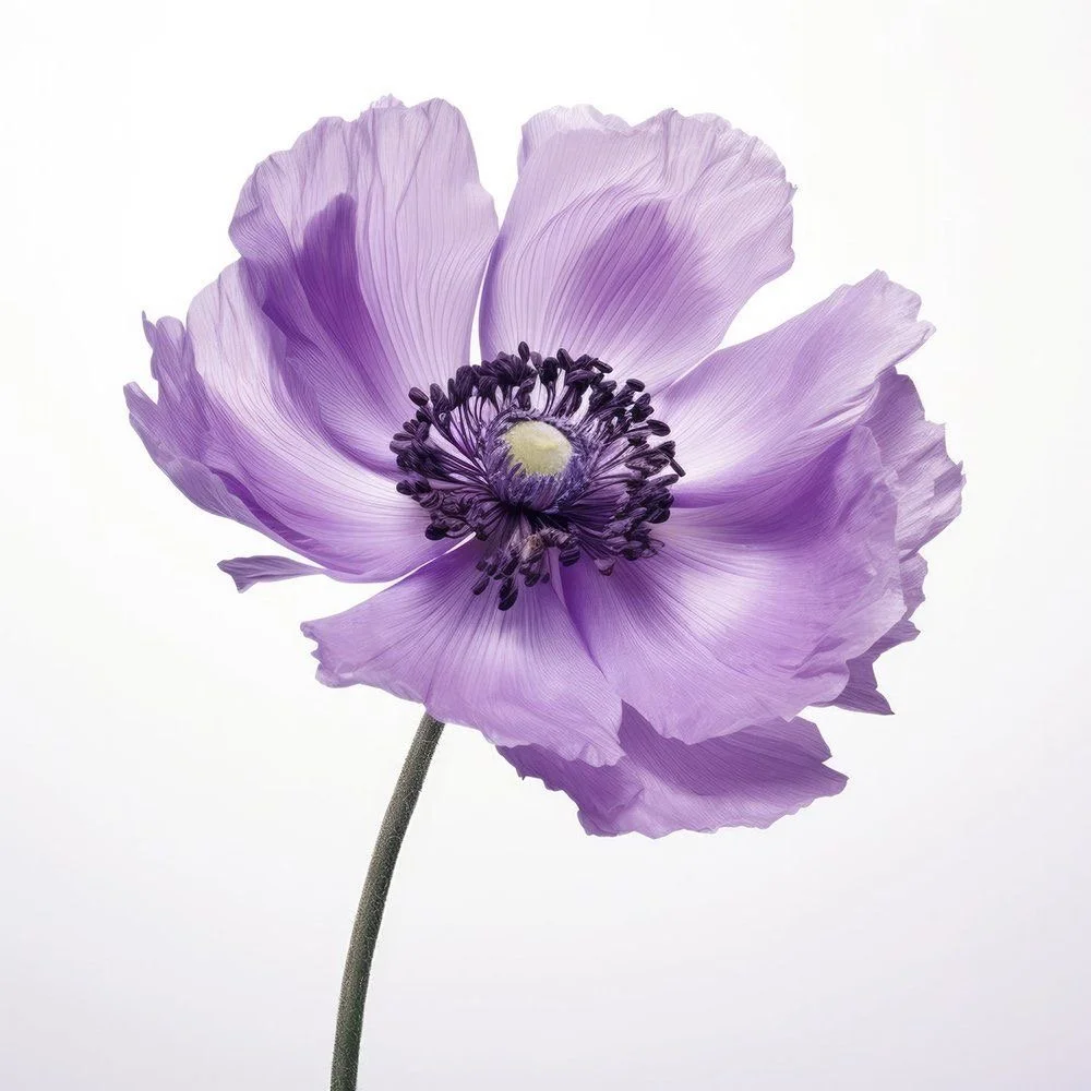 FACT 10th Anniversary Celebration