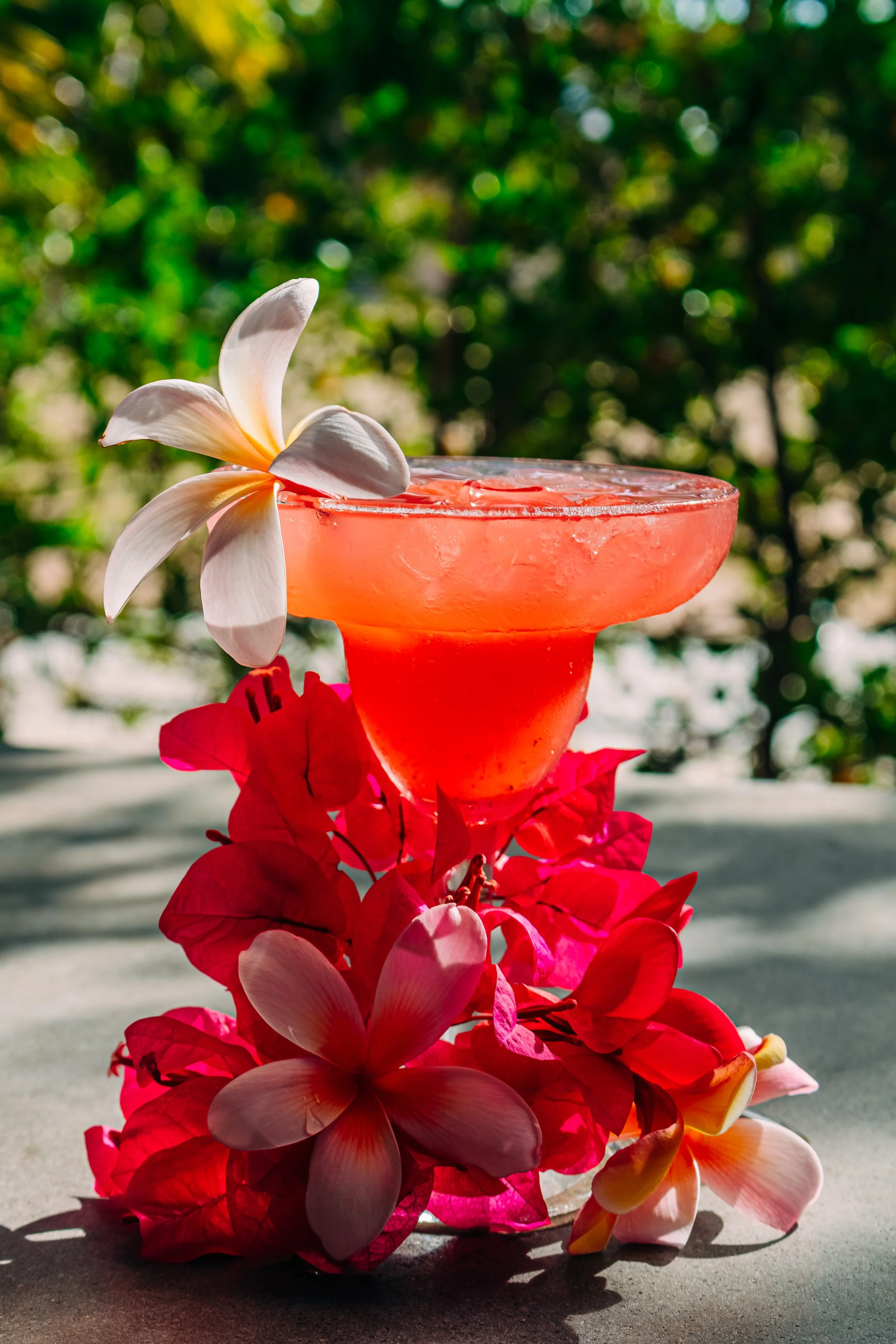 A pink cocktail in a glass with a white flower on the rim, surrounded by pink and red flowers, outdoors with blurred green foliage background.