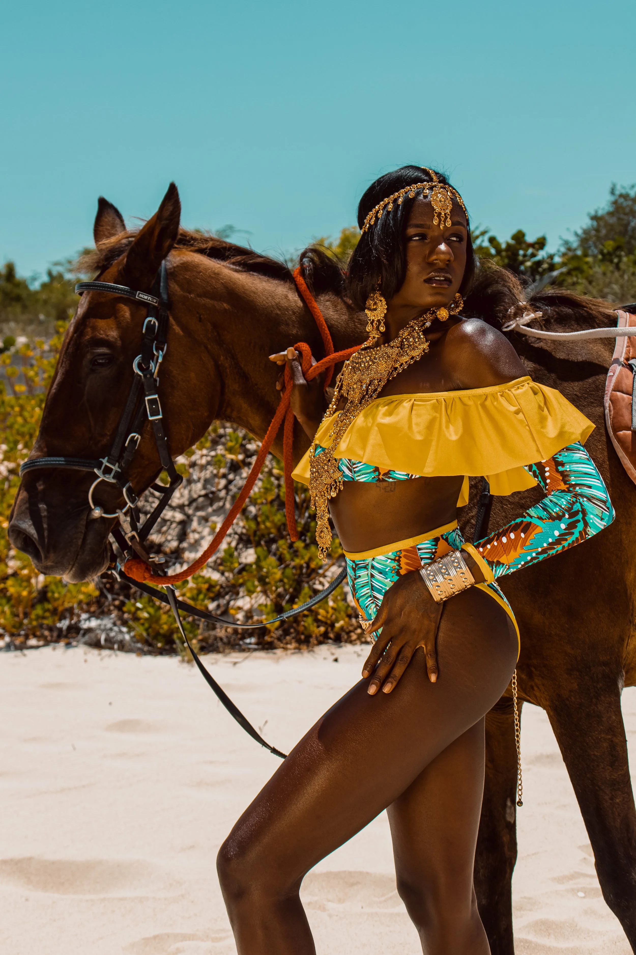 A woman with dark skin dressed in vibrant, colorful clothing and jewelry standing next to a brown horse on a sandy beach with bushes and a blue sky in the background.