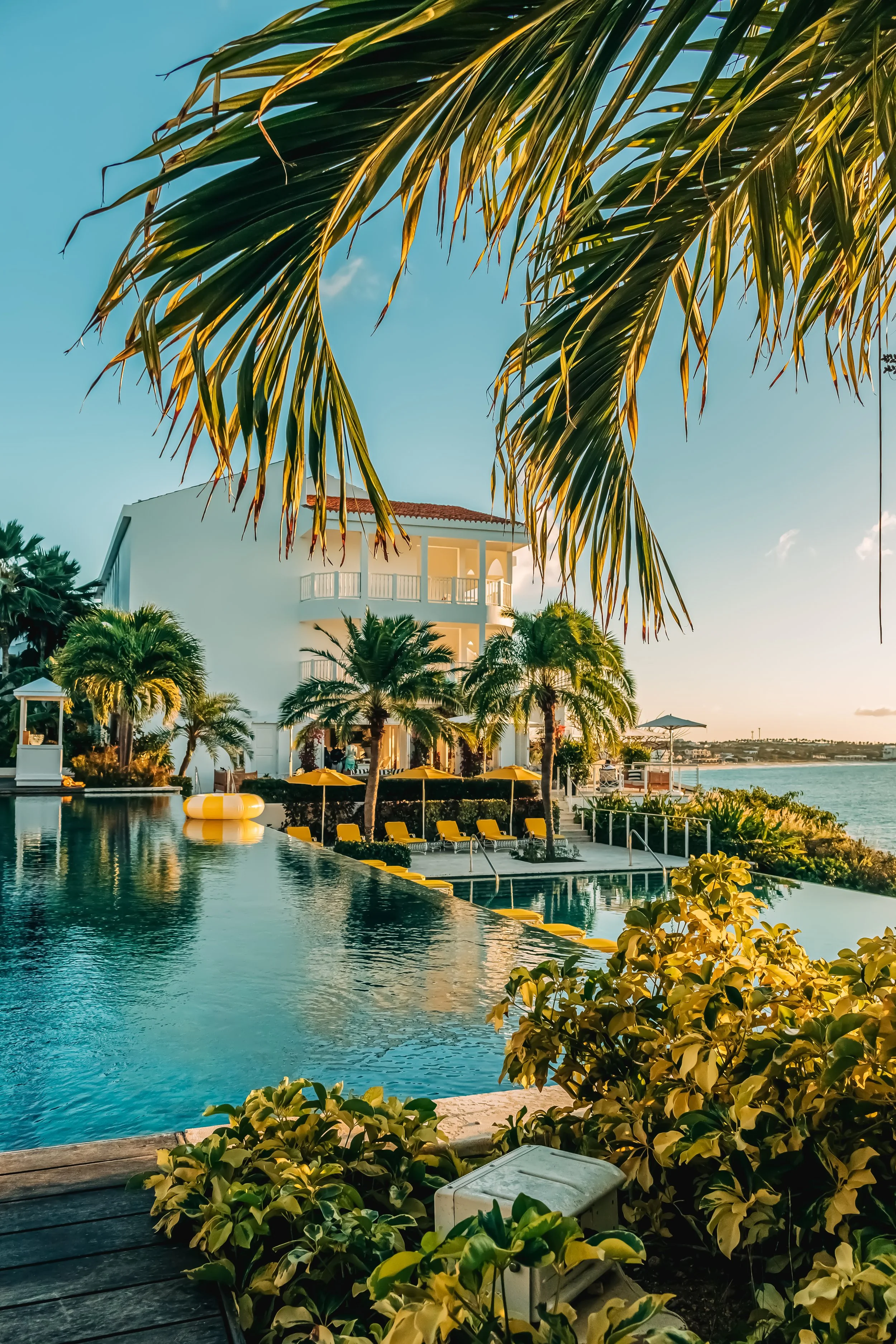 A tropical resort with a swimming pool surrounded by palm trees and yellow lounge chairs, with a white building featuring a balcony in the background, under a blue sky.