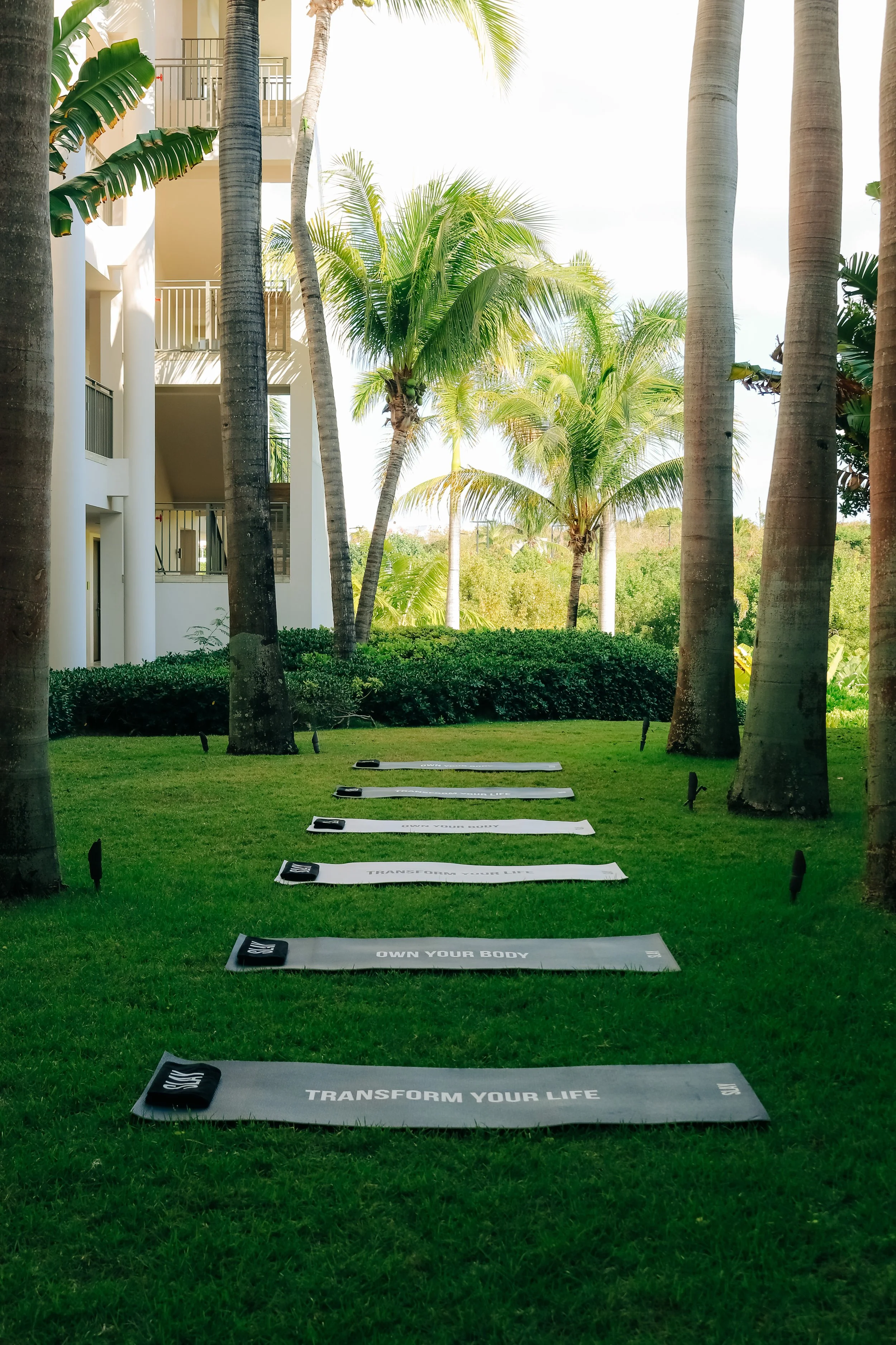 Outdoor yoga mats on grass with palm trees and a white building with balconies in the background.