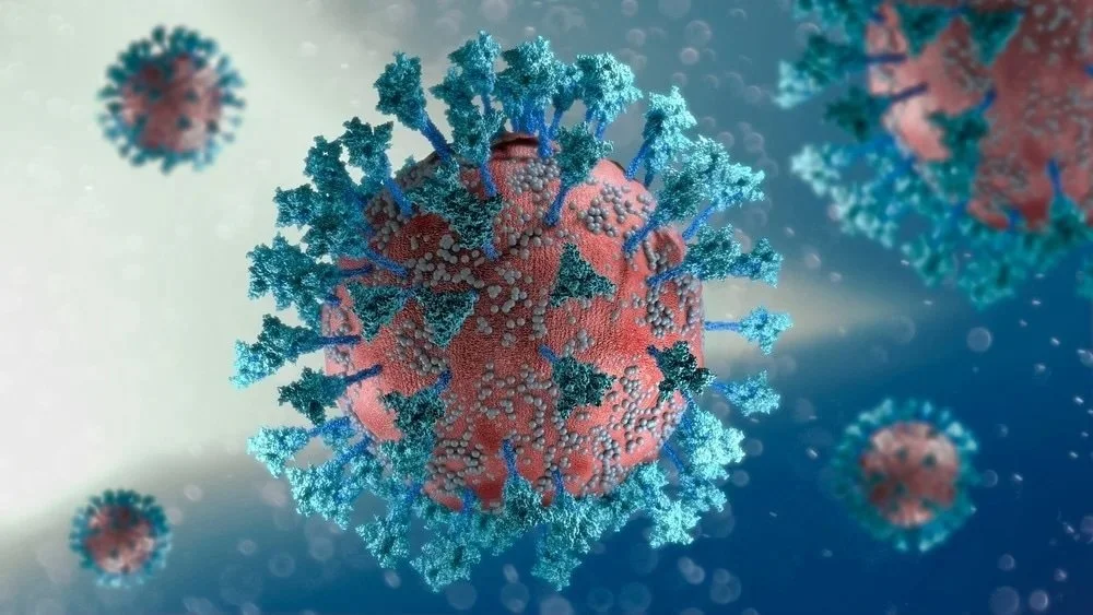 Spike vs bifidobacterium