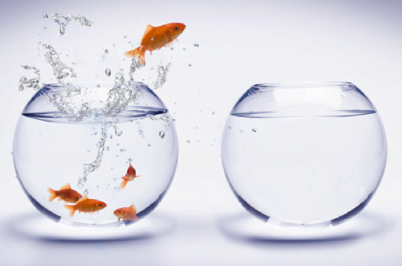 The Leader's Creative Challenge