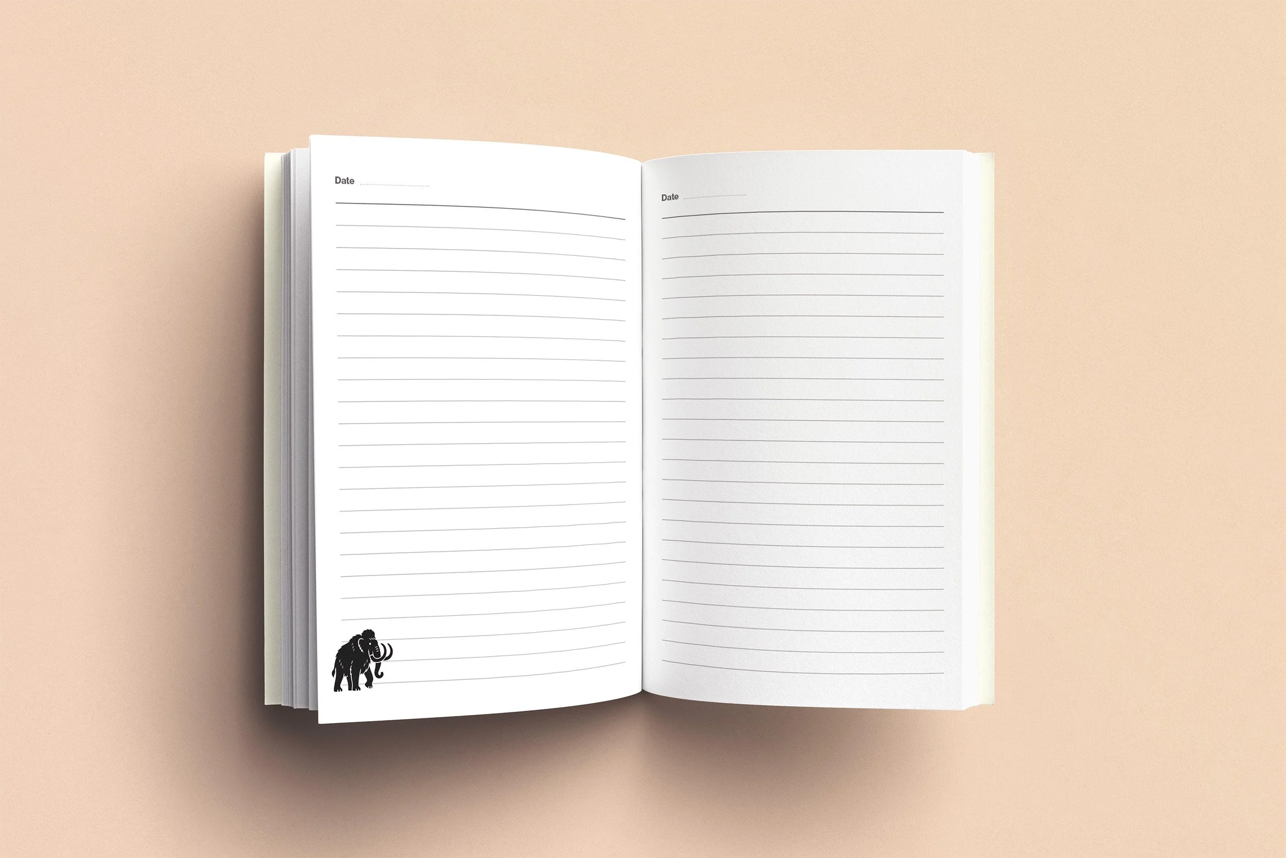 ICE_AGE_notebook_inside_pages2 copy.jpg