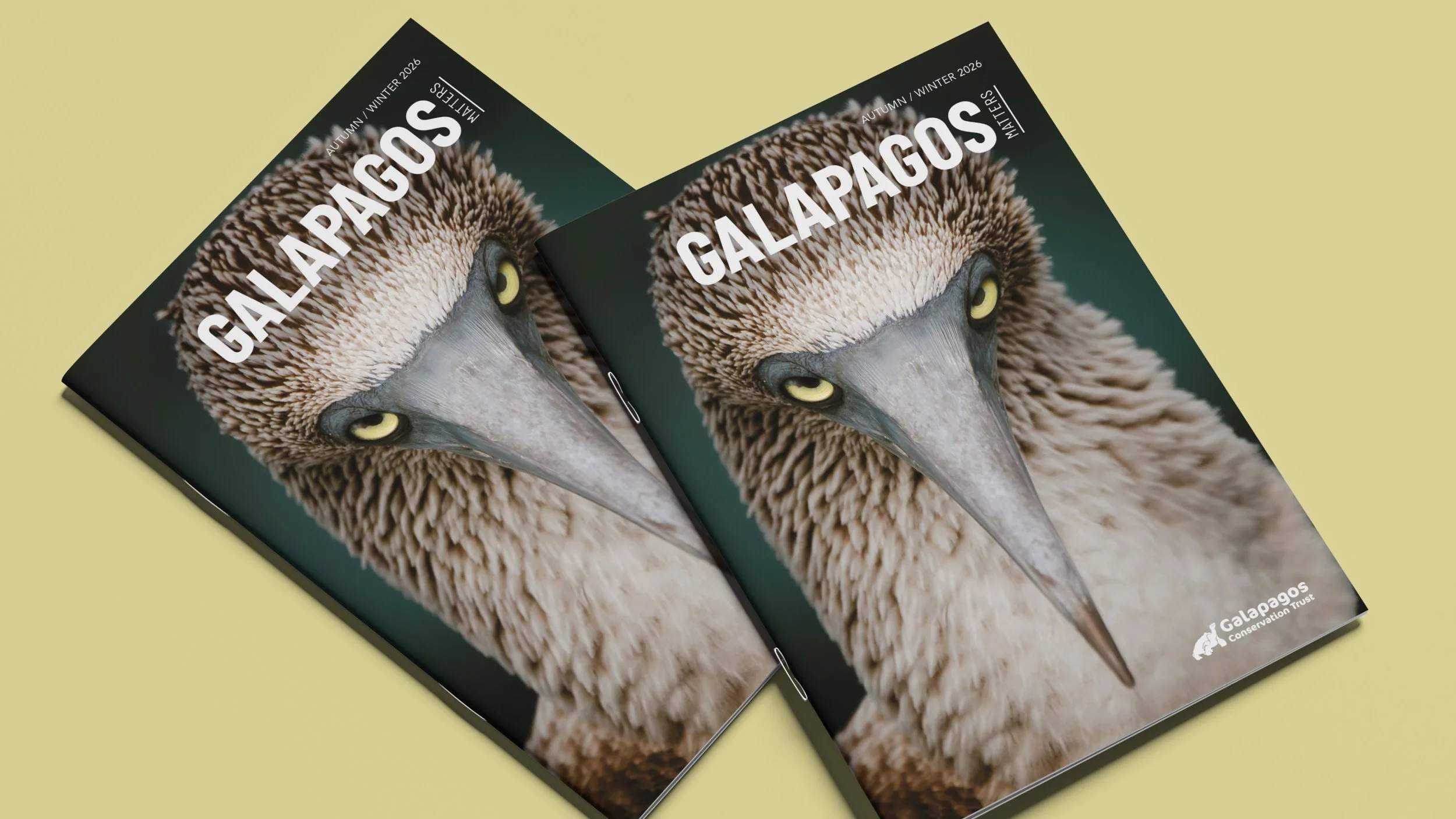 GALAPAGOS_MATTERS_CASE_STUDY5.jpg