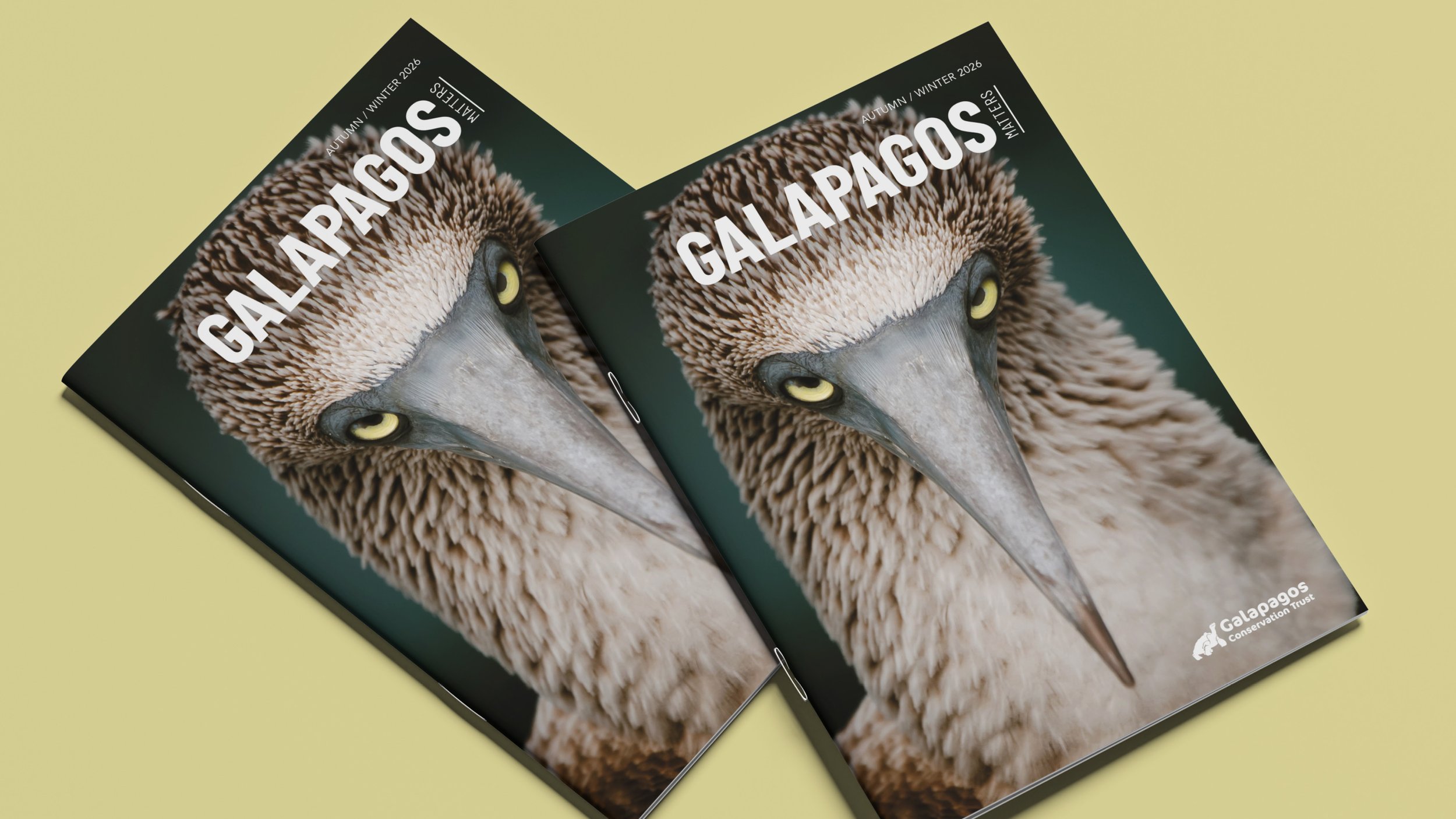 GCT publications