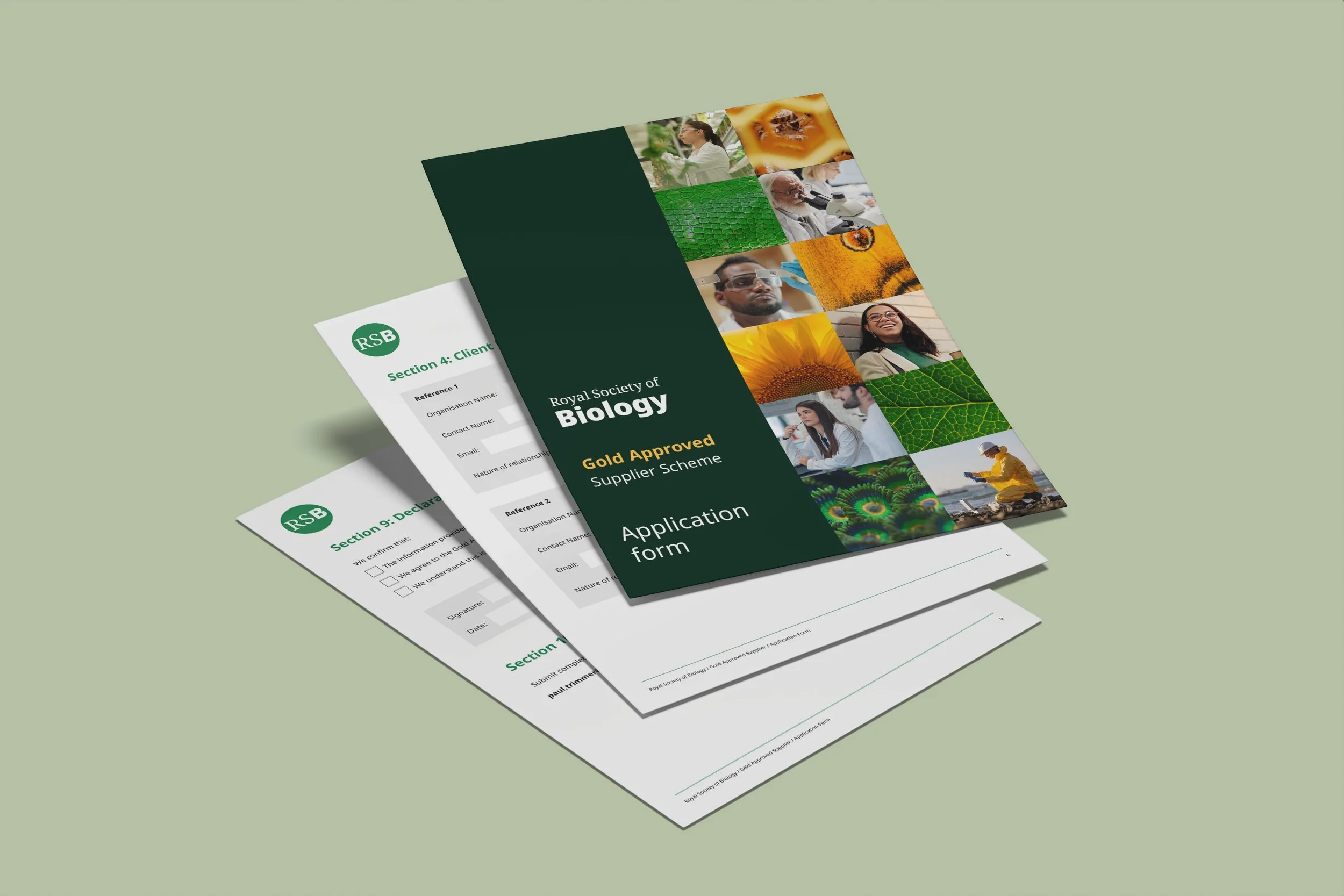 A4 Flyer 01 copy.jpg