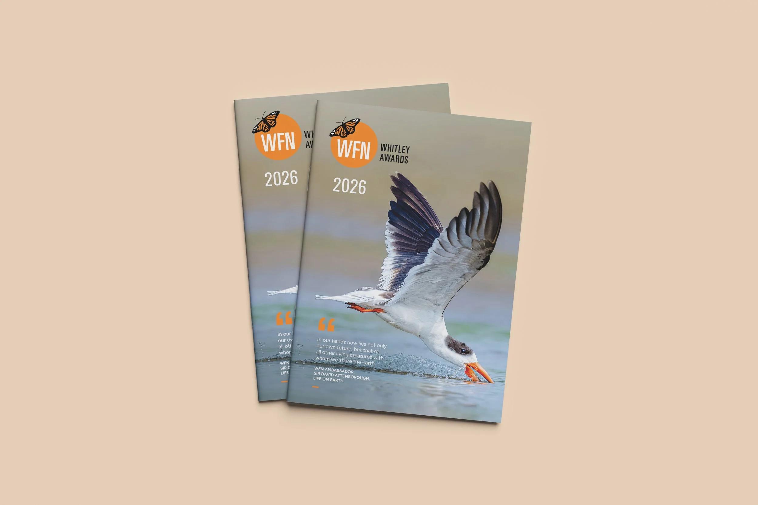 programme_covers copy.jpg