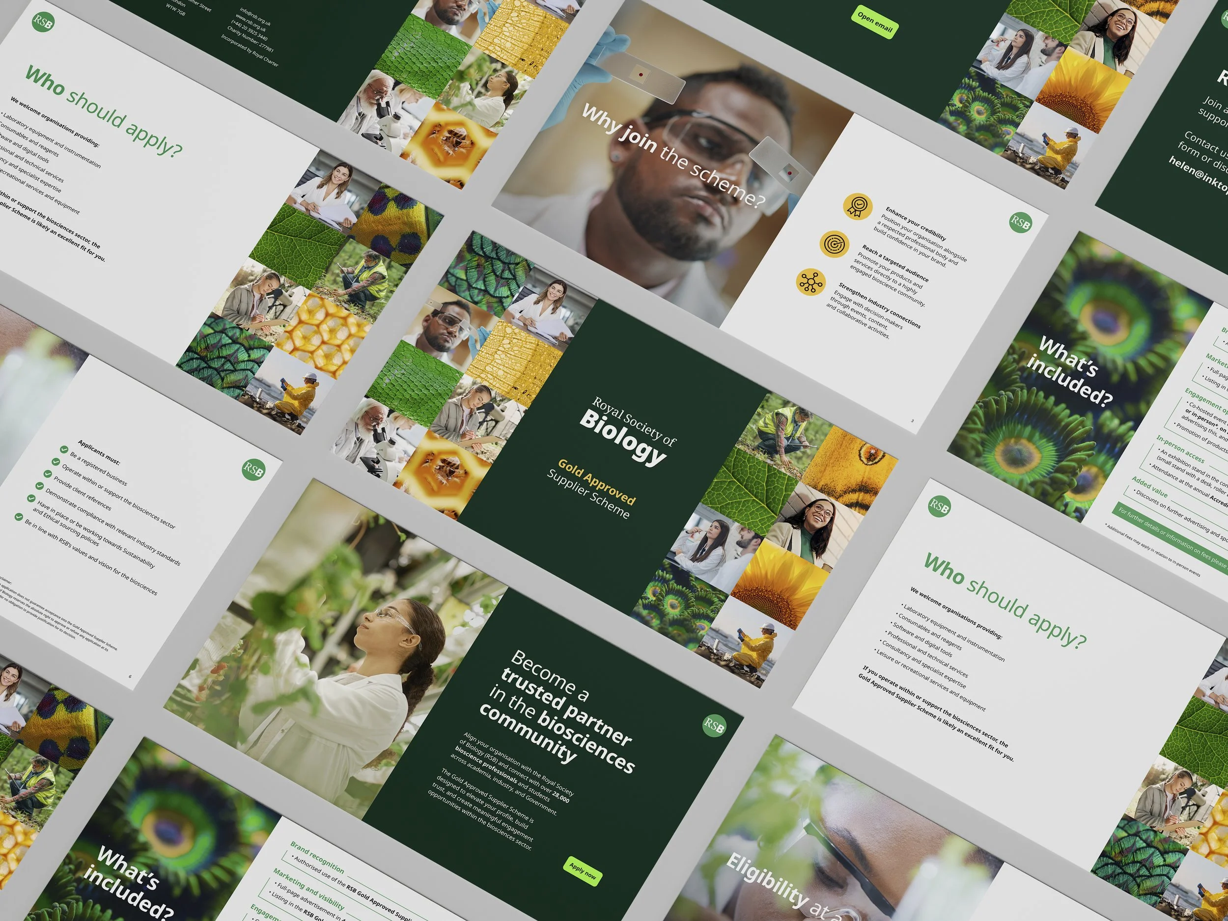 Presentation Display Mockup 2 copy.jpg